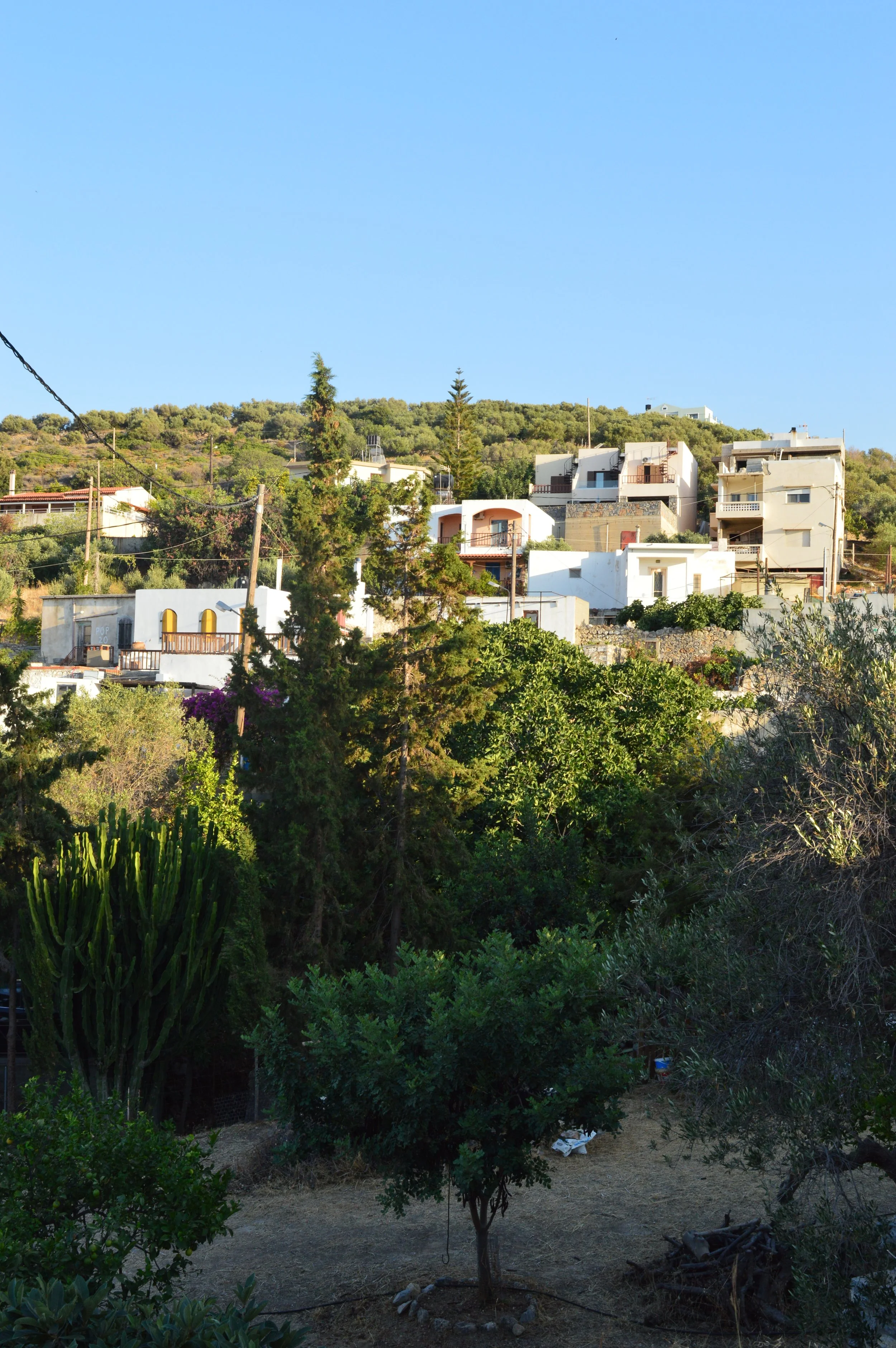 Milatos-vilage-Crete-a-local-guide (34).JPG