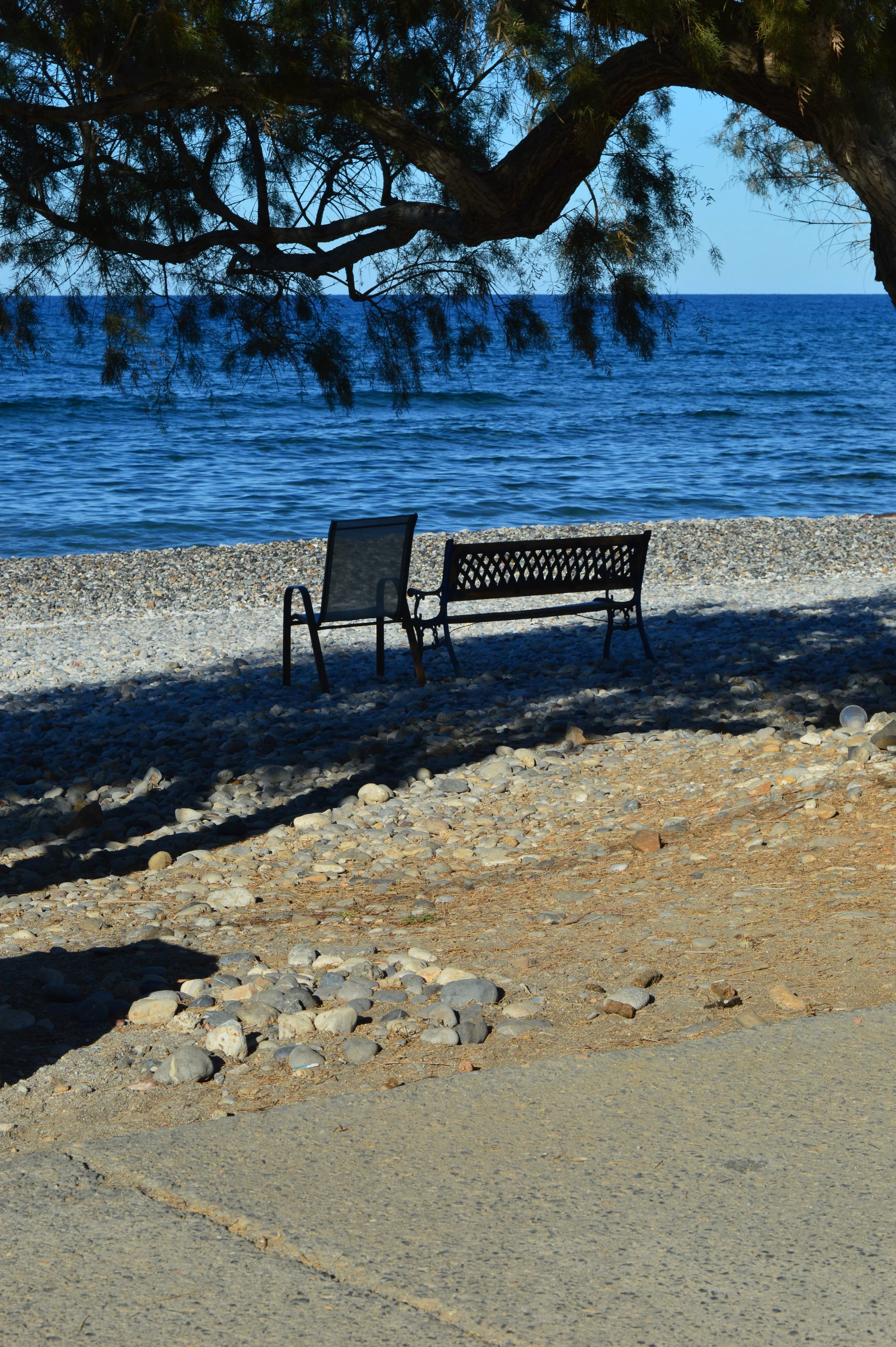 DSC_5726.JPG