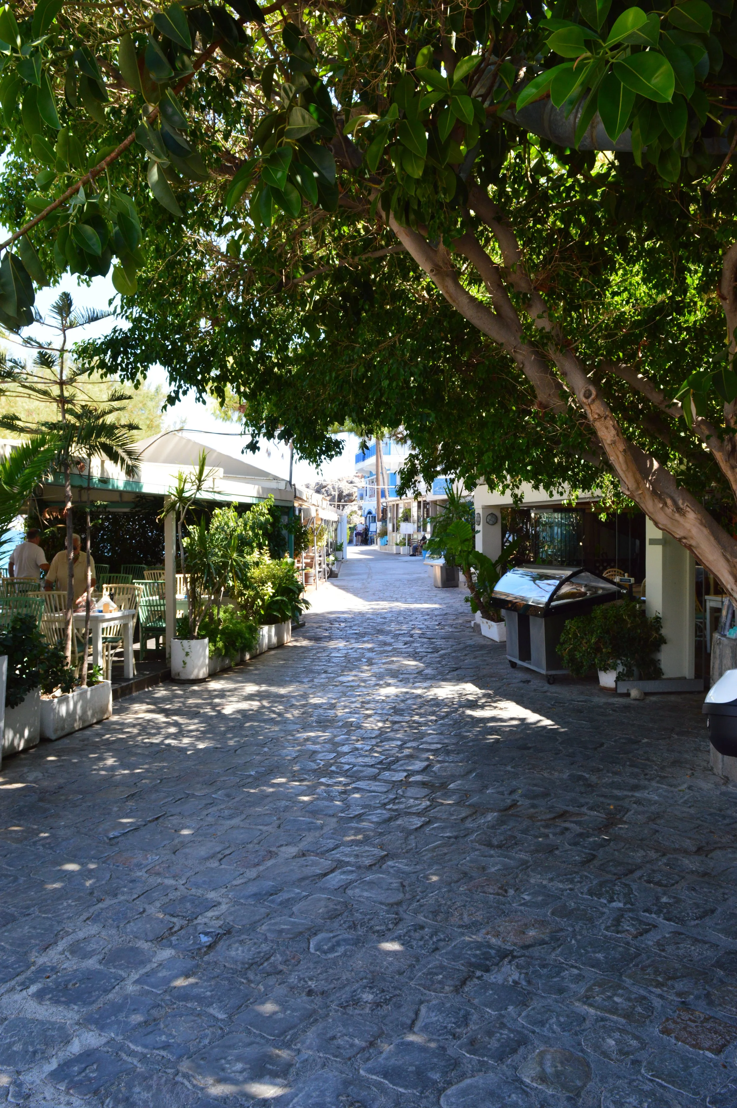 Kitroplatia Beach Agios Nikolaos Crete (11).JPG