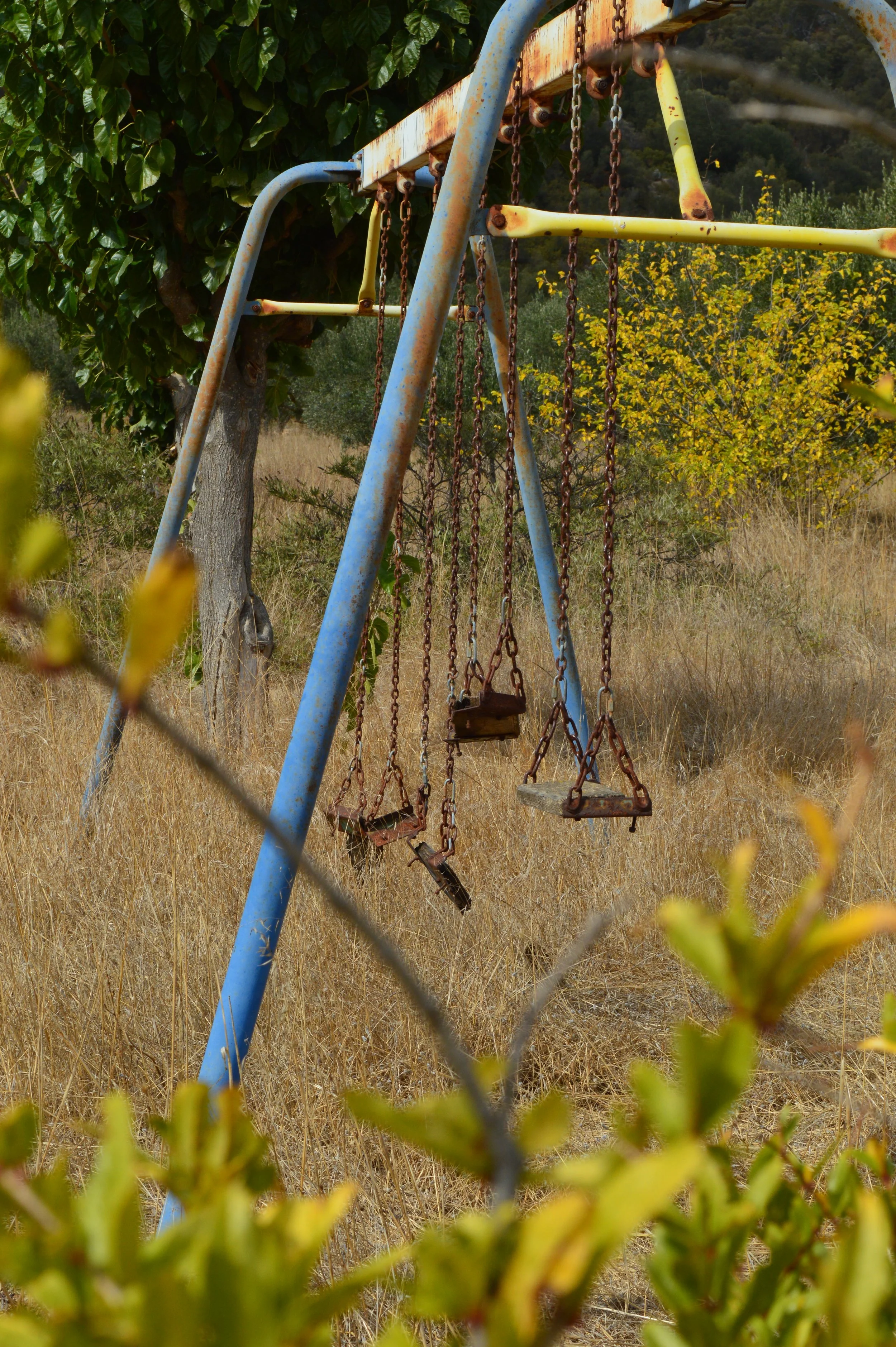 DSC_5490.JPG