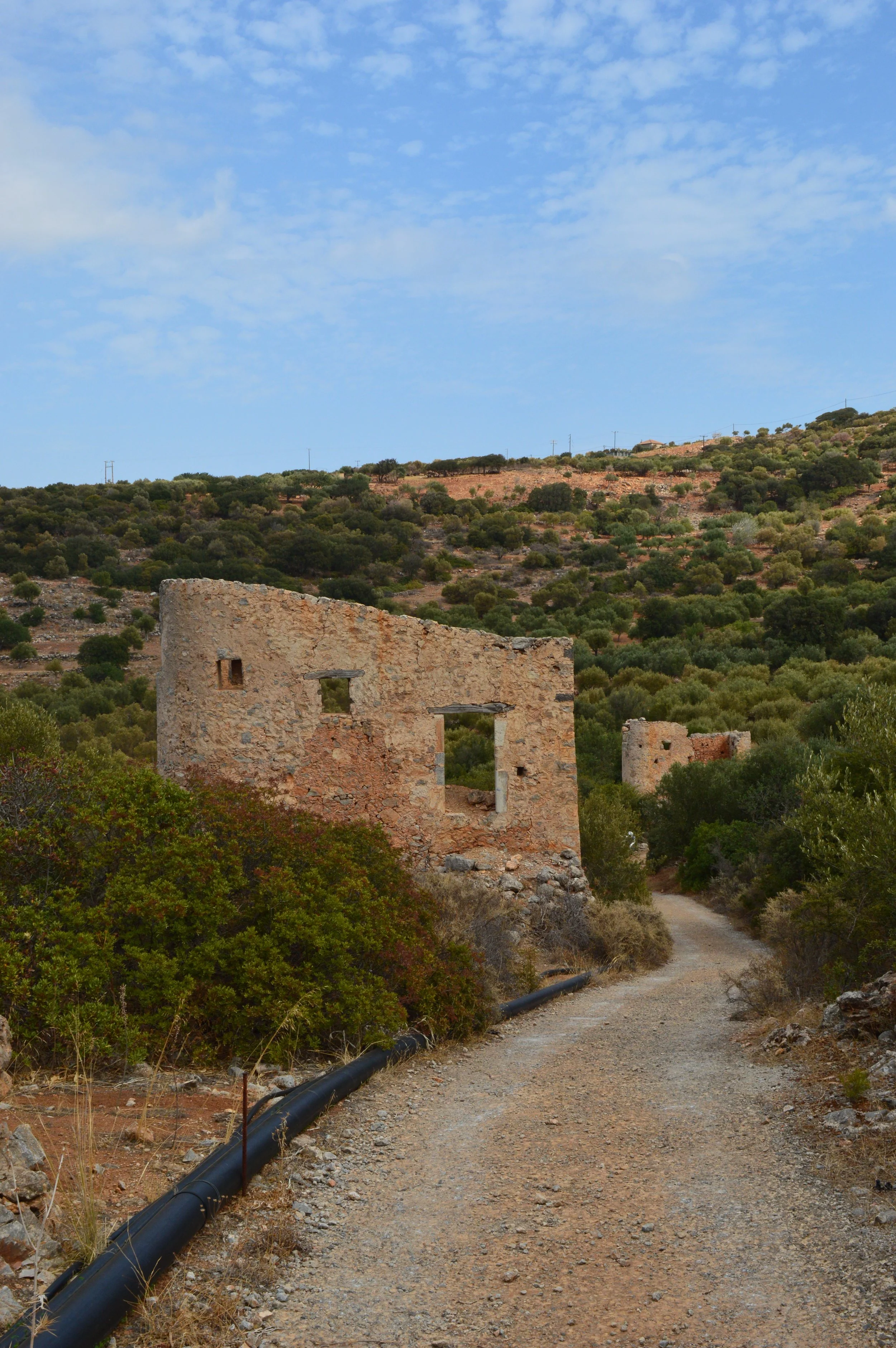 DSC_5498.JPG