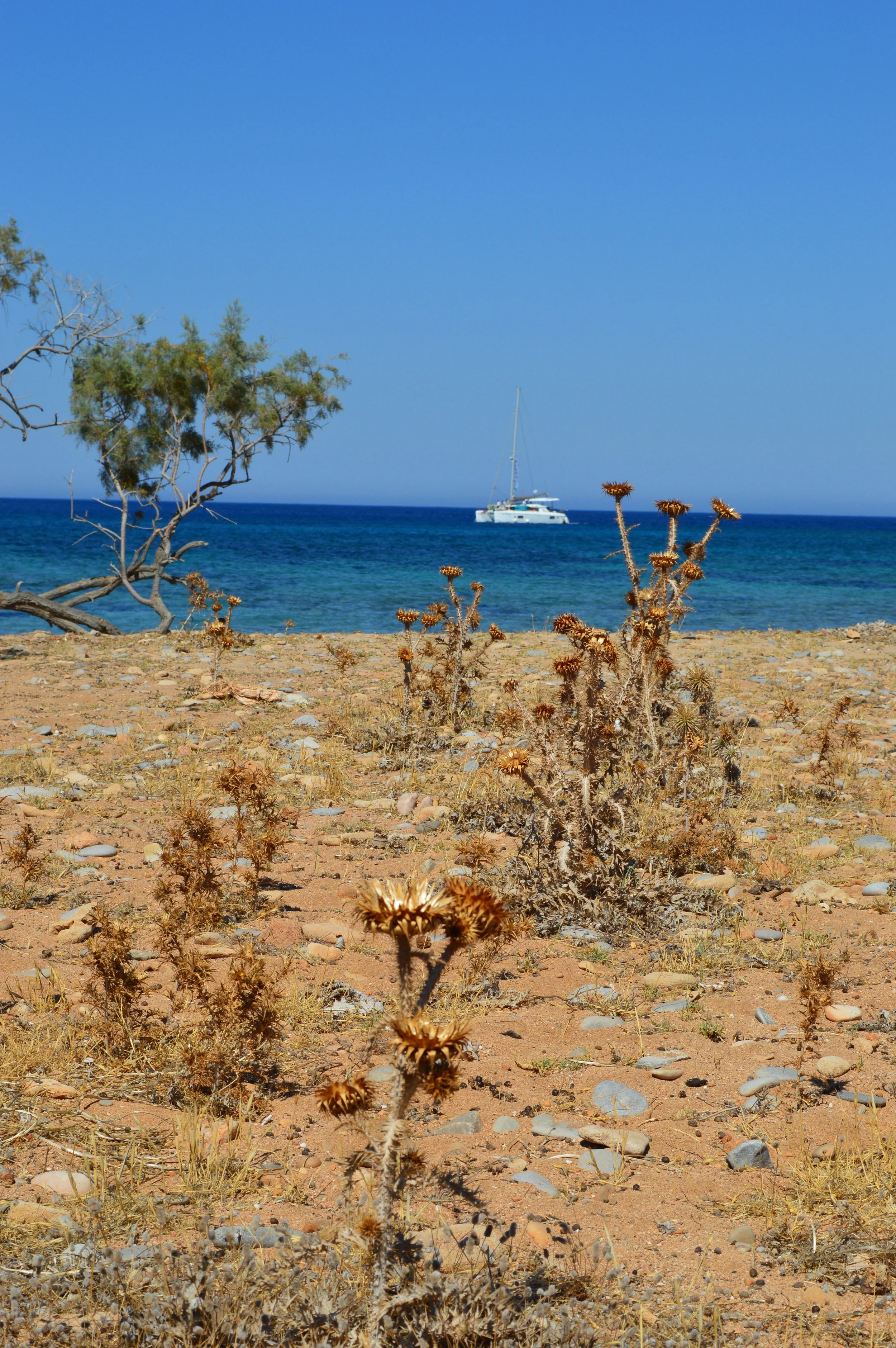 Vagi-beach-Kolokytha-bay-Elounda-Agios-Nikolaos-crete (9).JPG