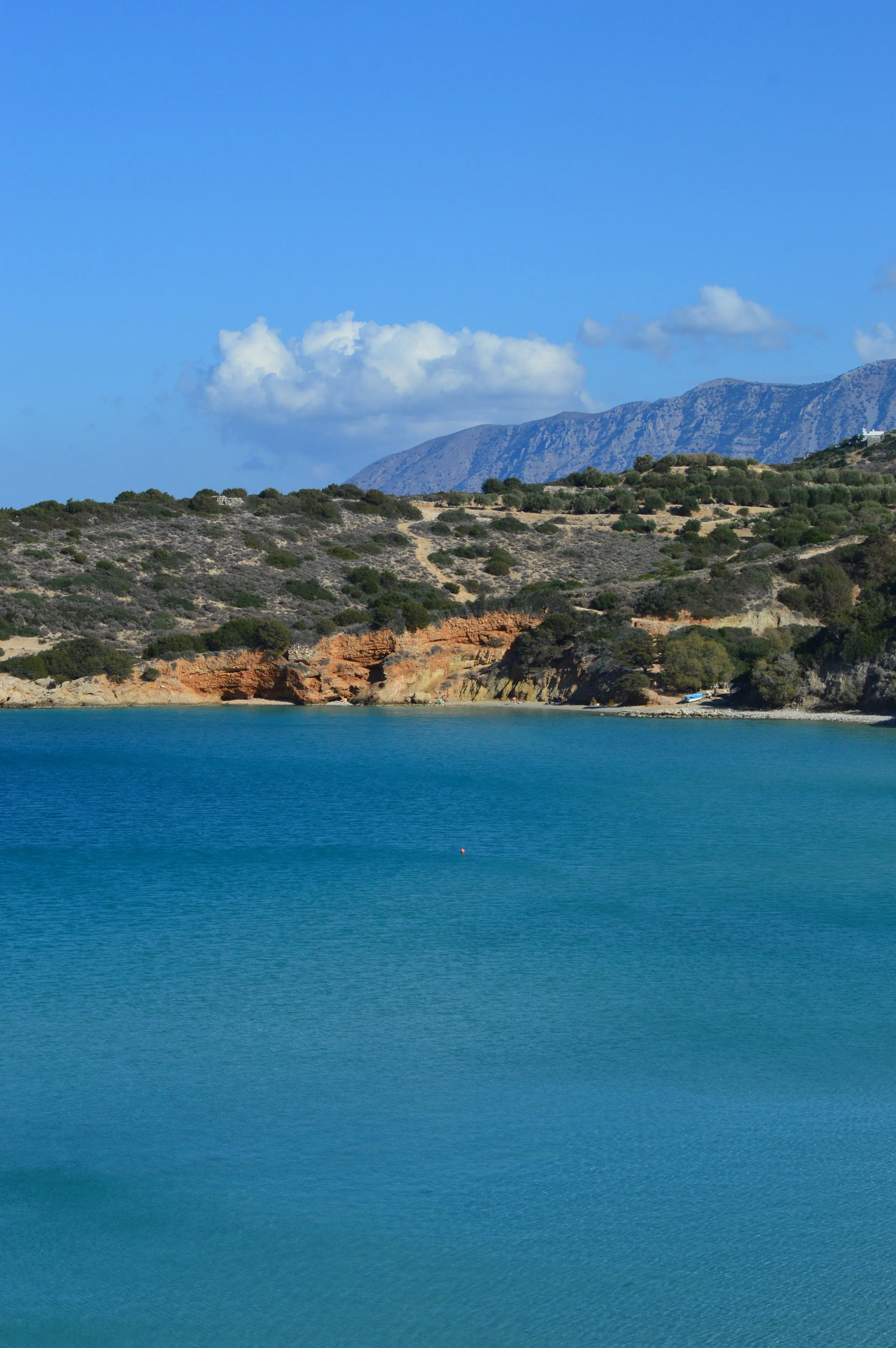 DSC_5997.JPG
