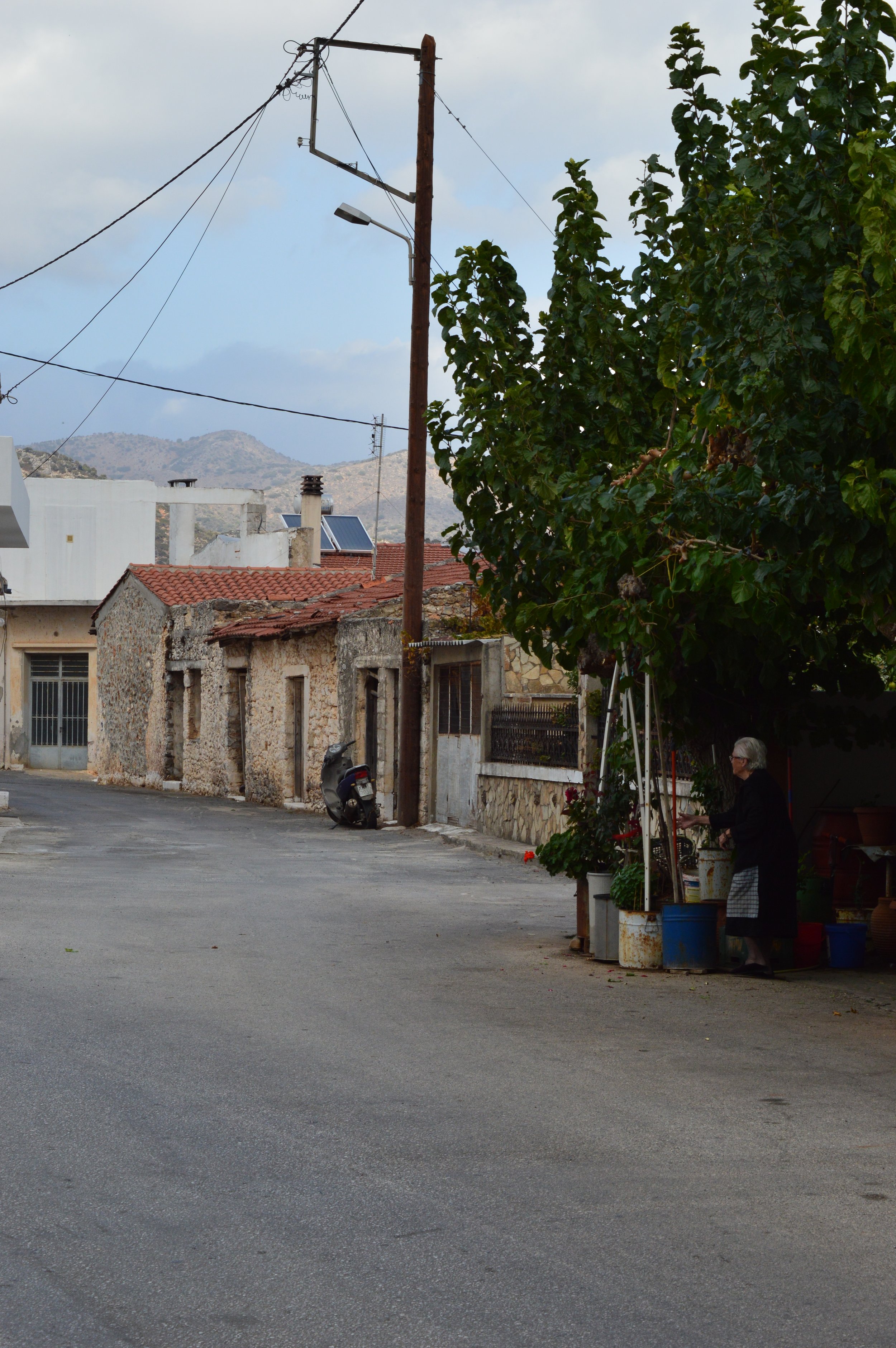DSC_5533.JPG