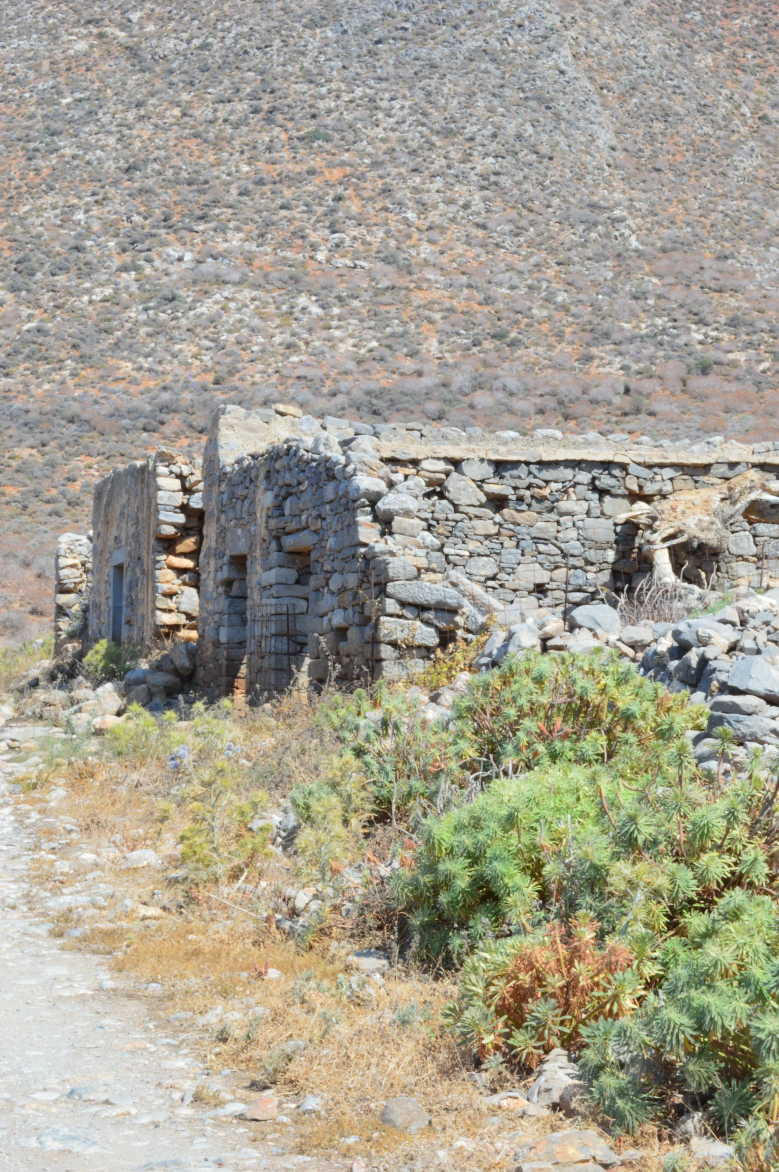 DSC_2617.JPG
