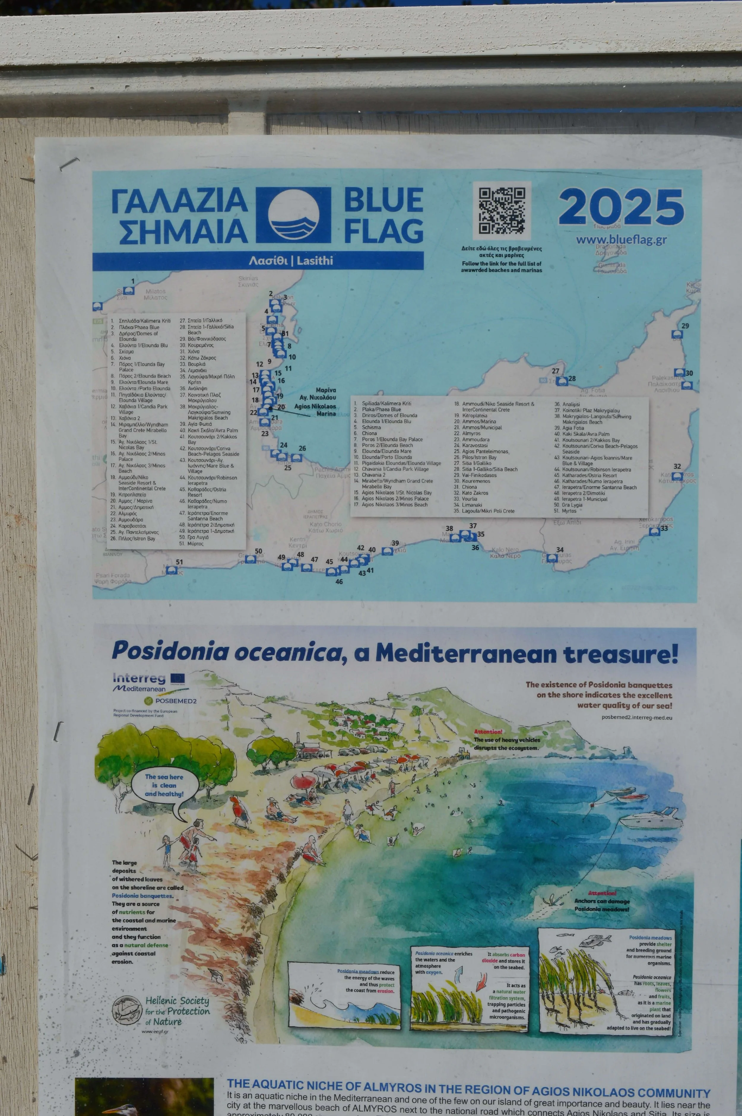 Blue-flag-award-ammoudara-beach-agios-nikolaos-crete-theasis-travel-guide