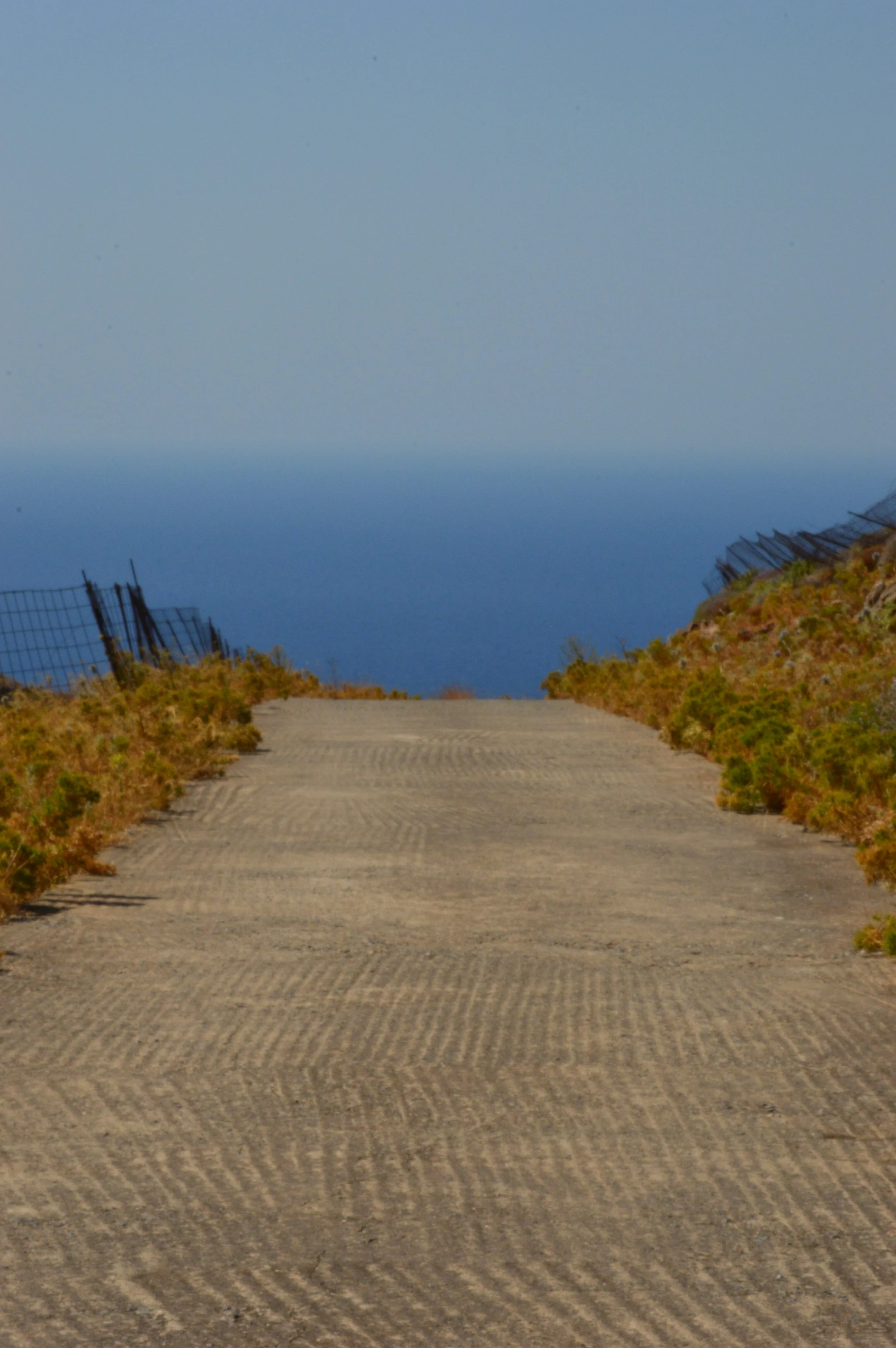 DSC_2580.JPG