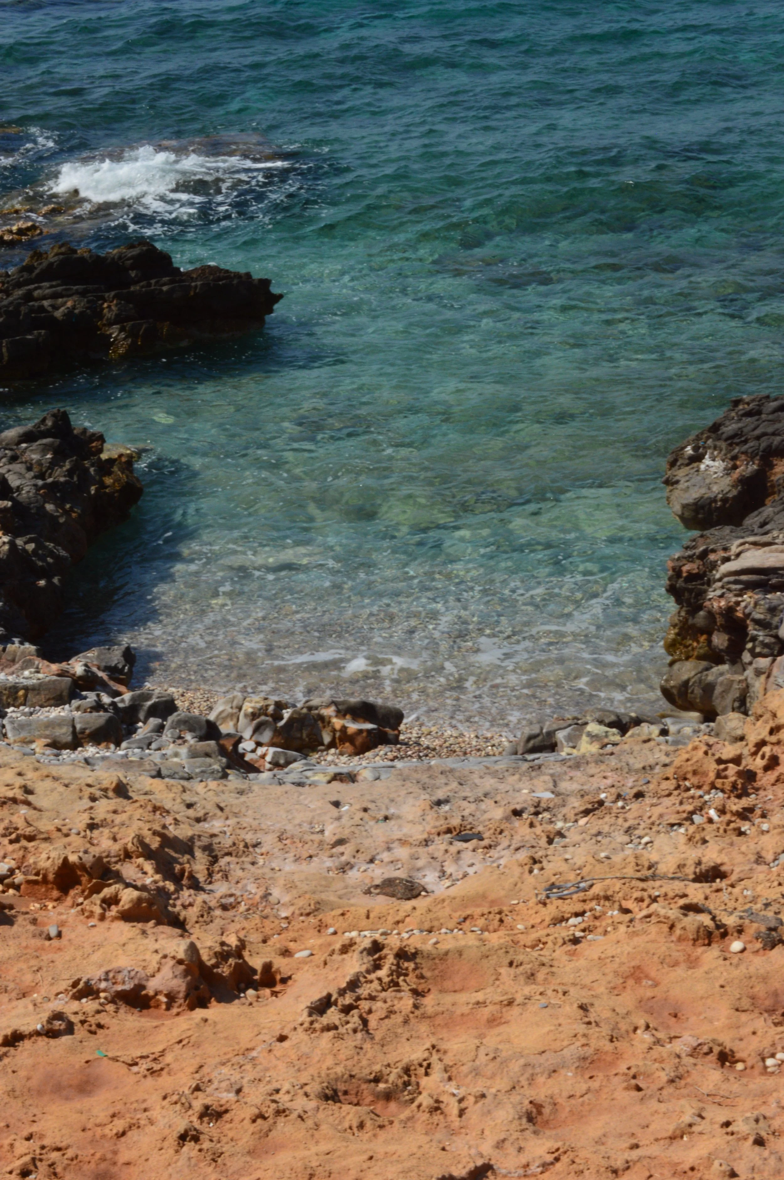 DSC_2635.JPG