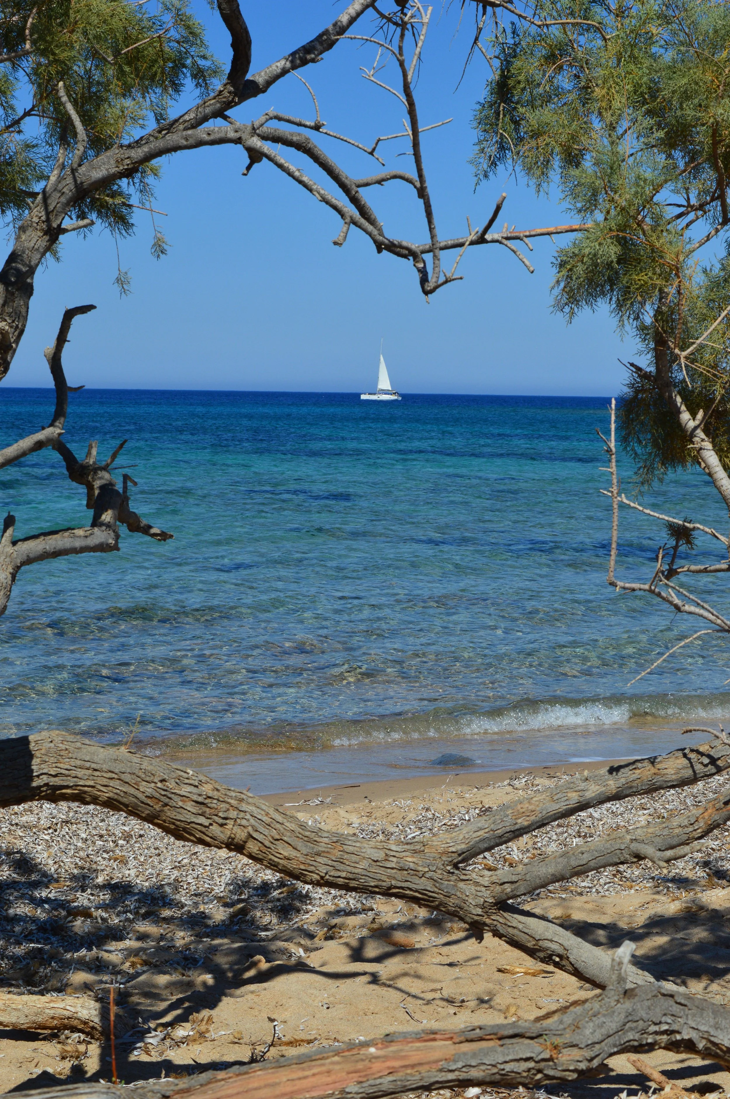 Vagi-beach-Kolokytha-bay-Elounda-Agios-Nikolaos-crete (10).JPG