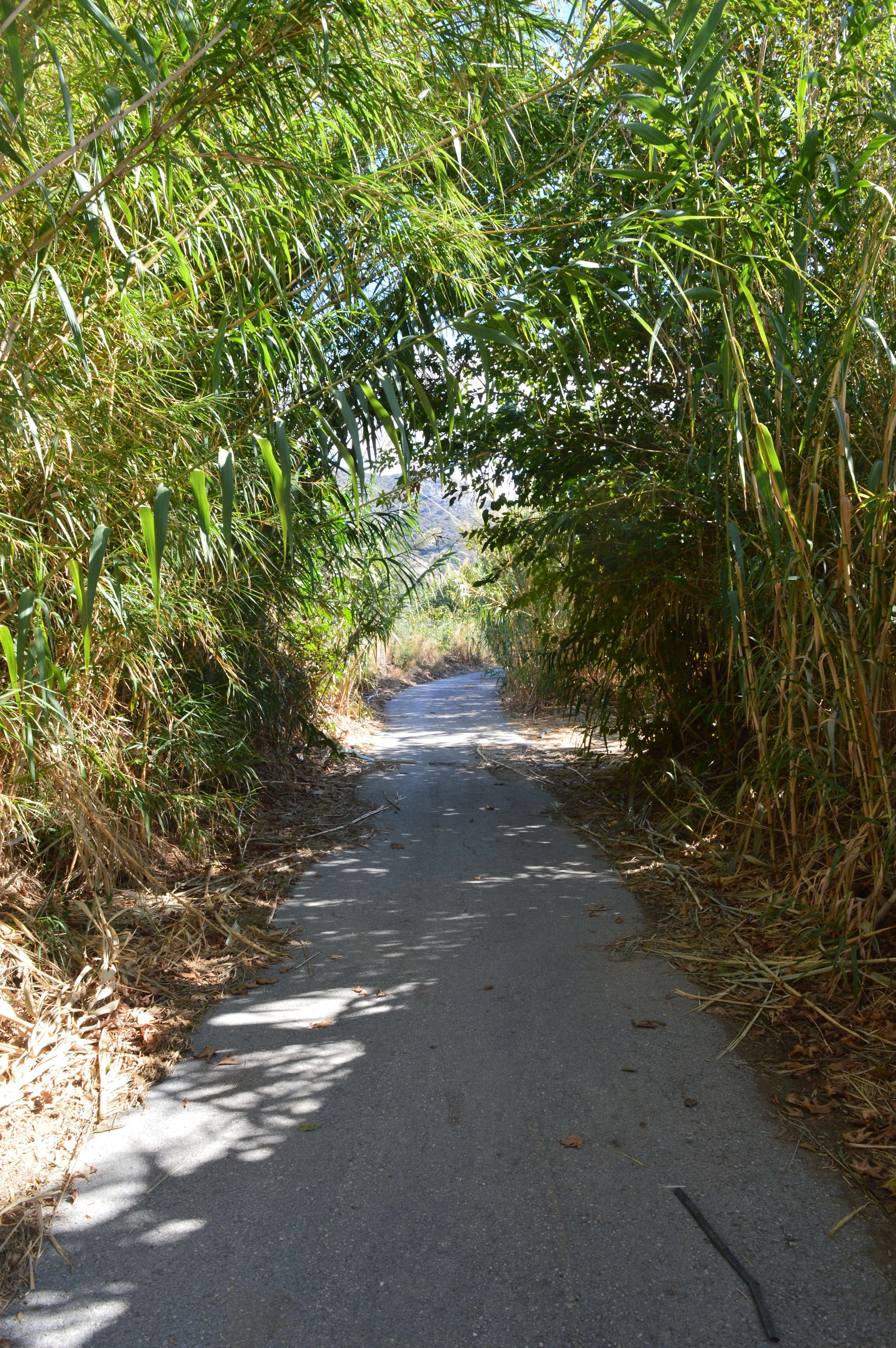 Karavostasi-beach-Agios-Nikolaos-Kalo-Chorio-Crete (14).JPG