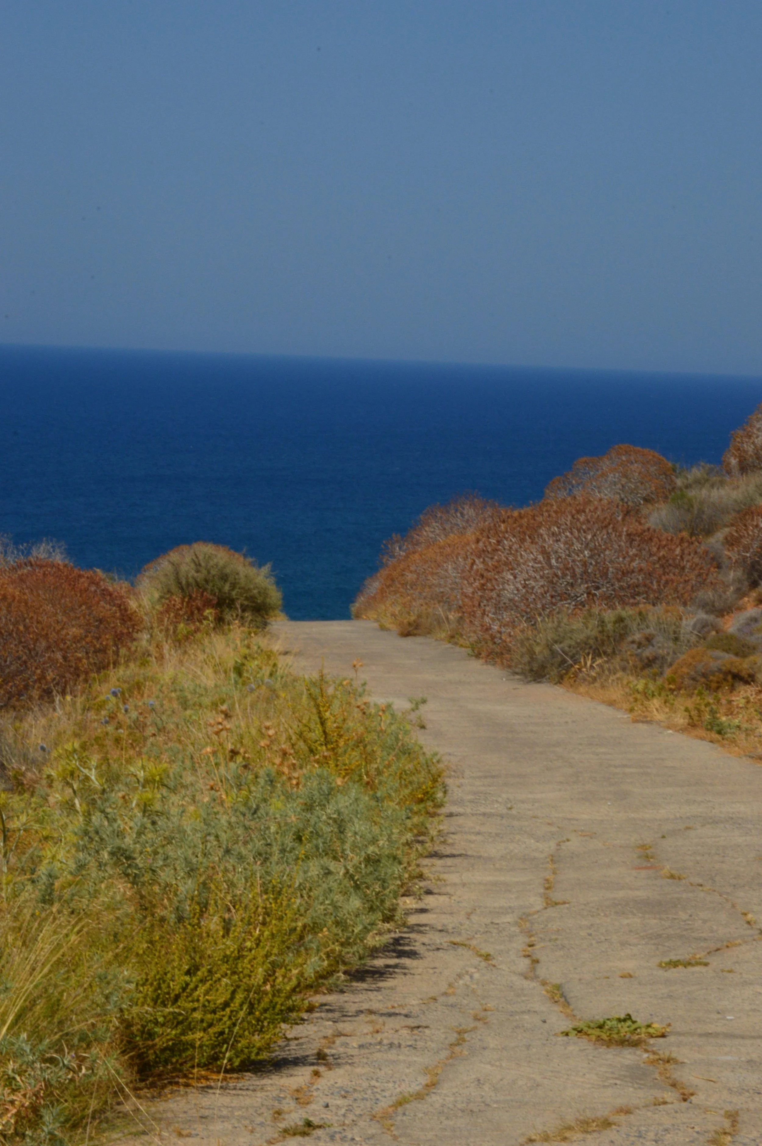 DSC_2597.JPG