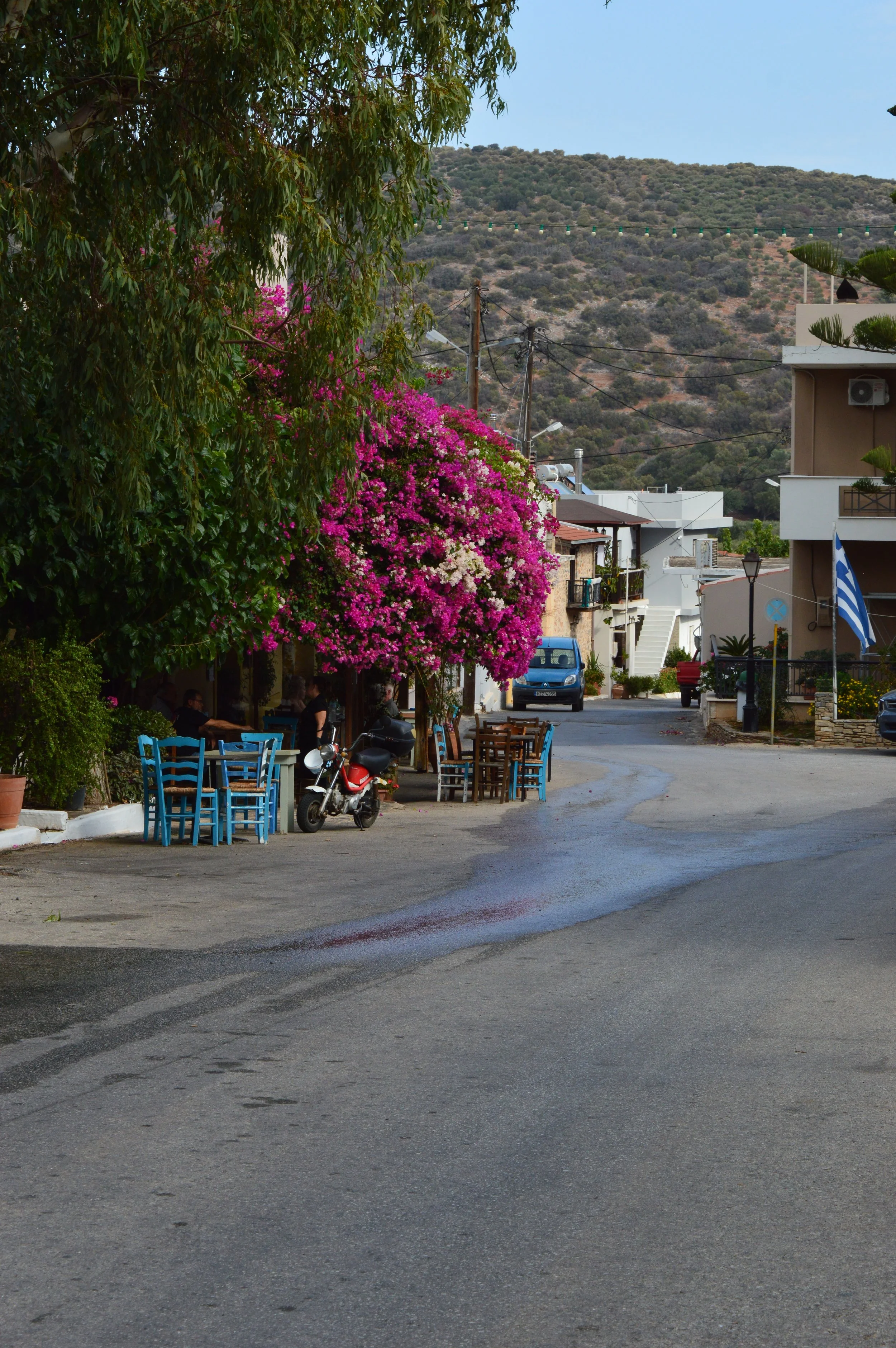 DSC_5529.JPG
