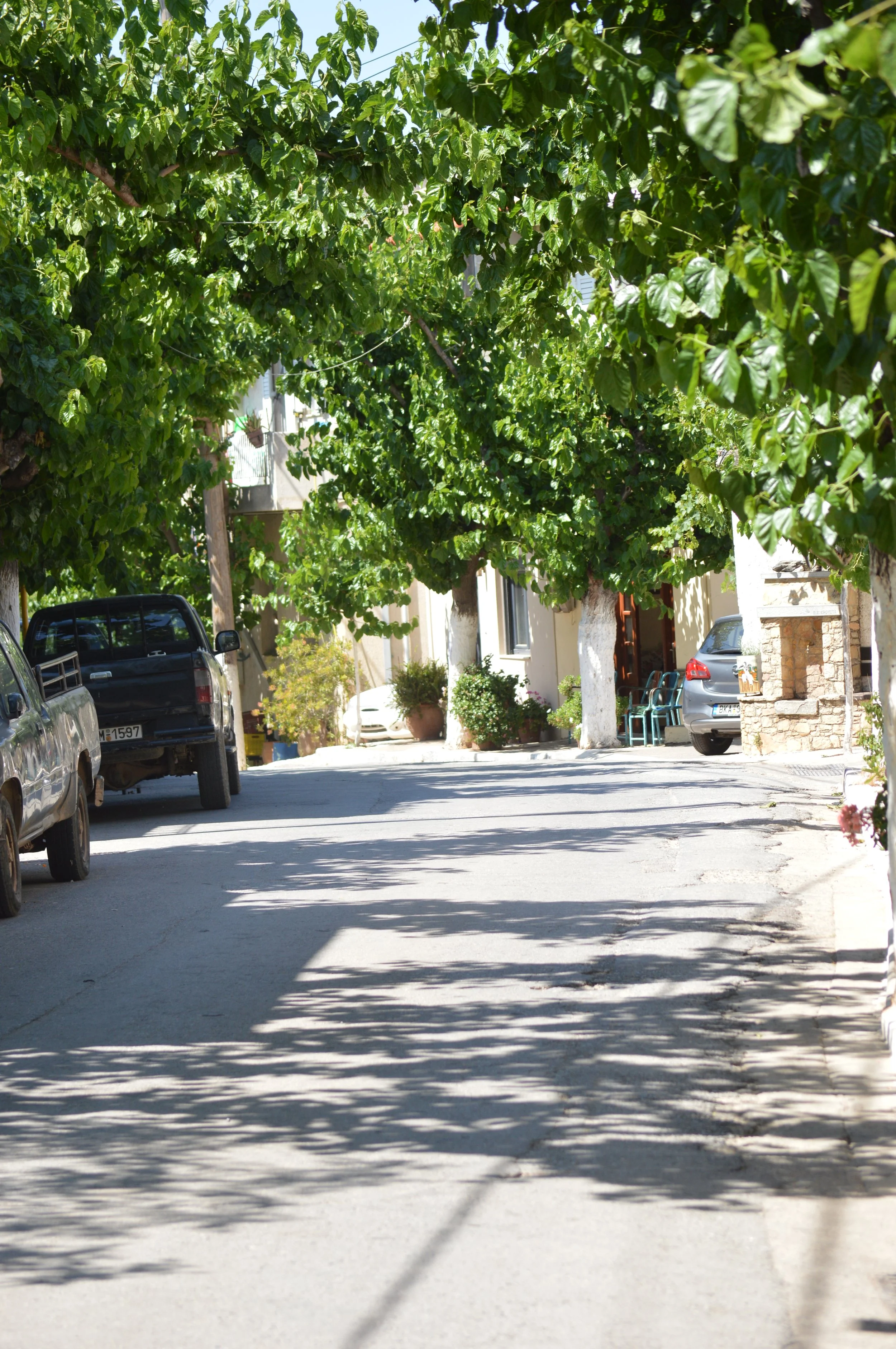 Kroustas-village-agios-nikolaos-a-local-guide (32).JPG