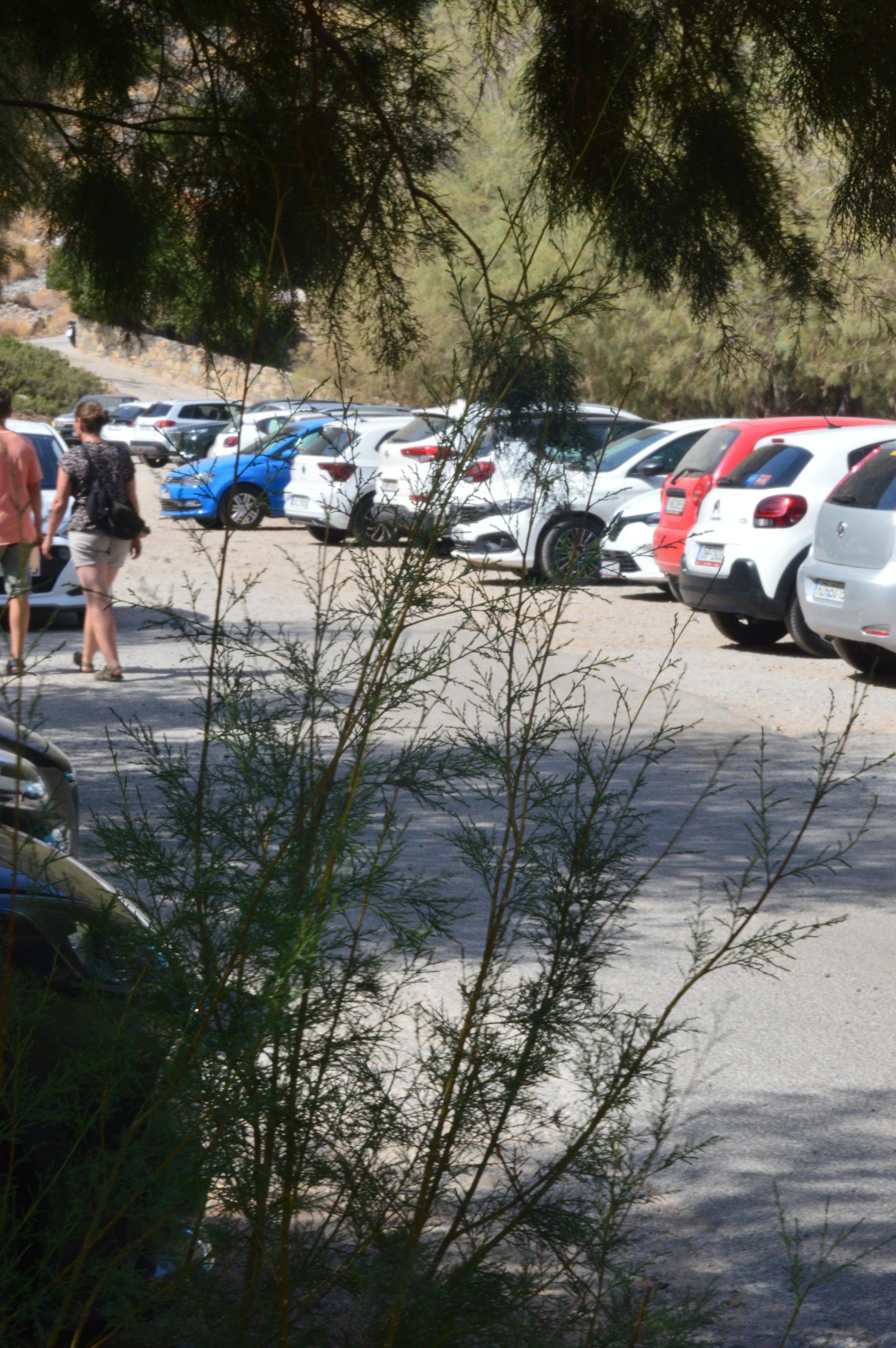 plaka-beach-Agios-Nikolaos-crete (9).JPG