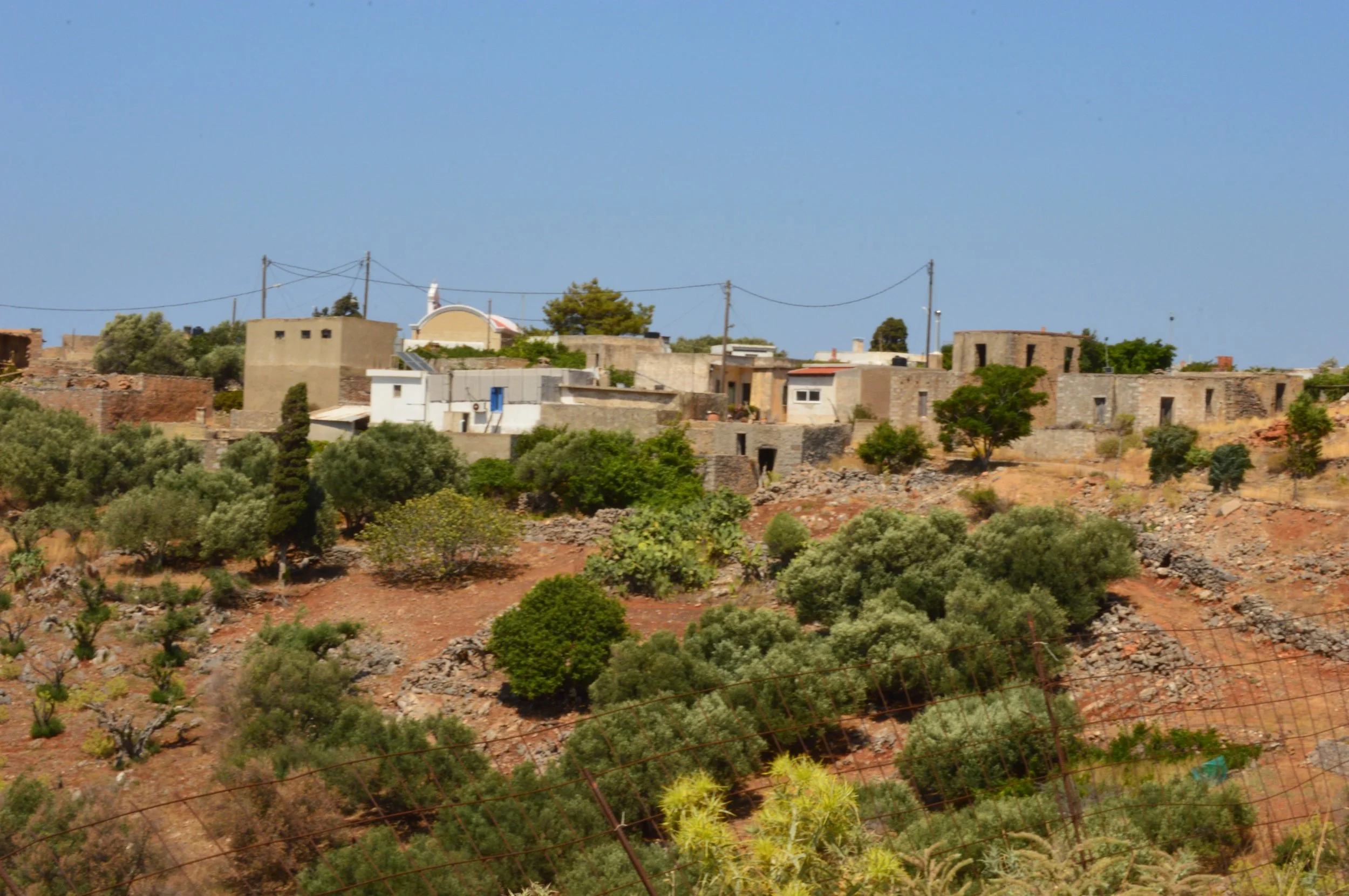 DSC_2565.JPG