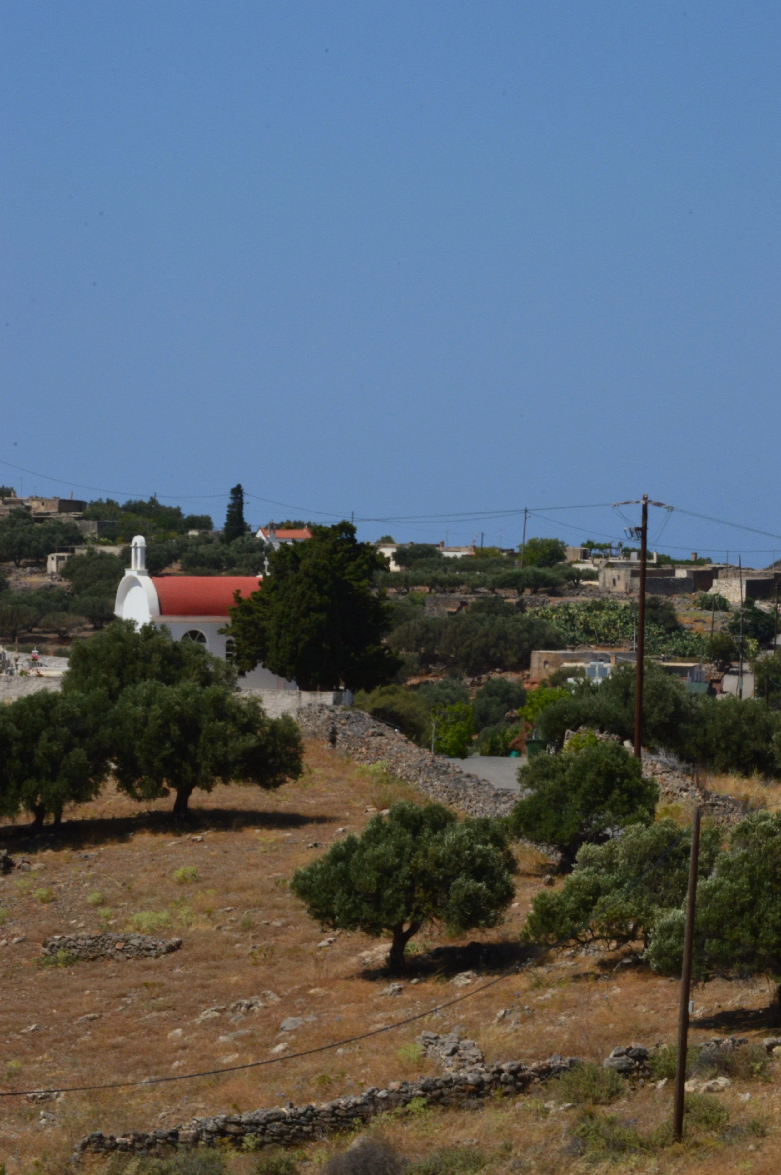 DSC_2572.JPG