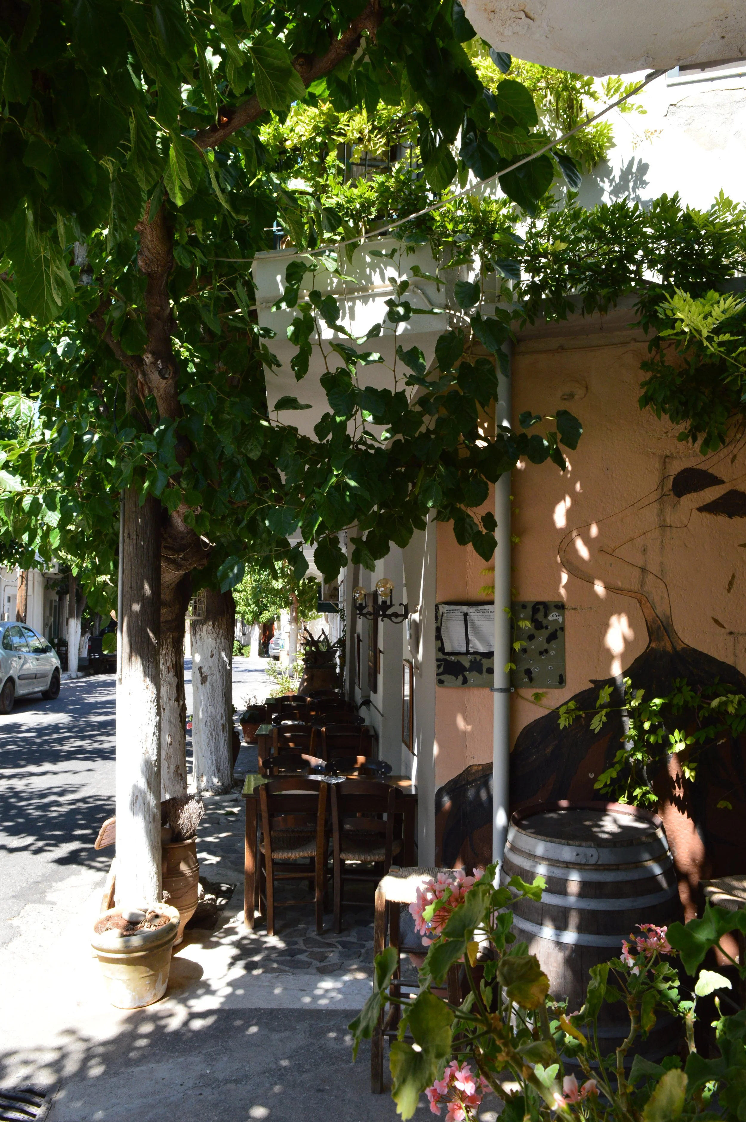 Kroustas-village-agios-nikolaos-a-local-guide (2).JPG