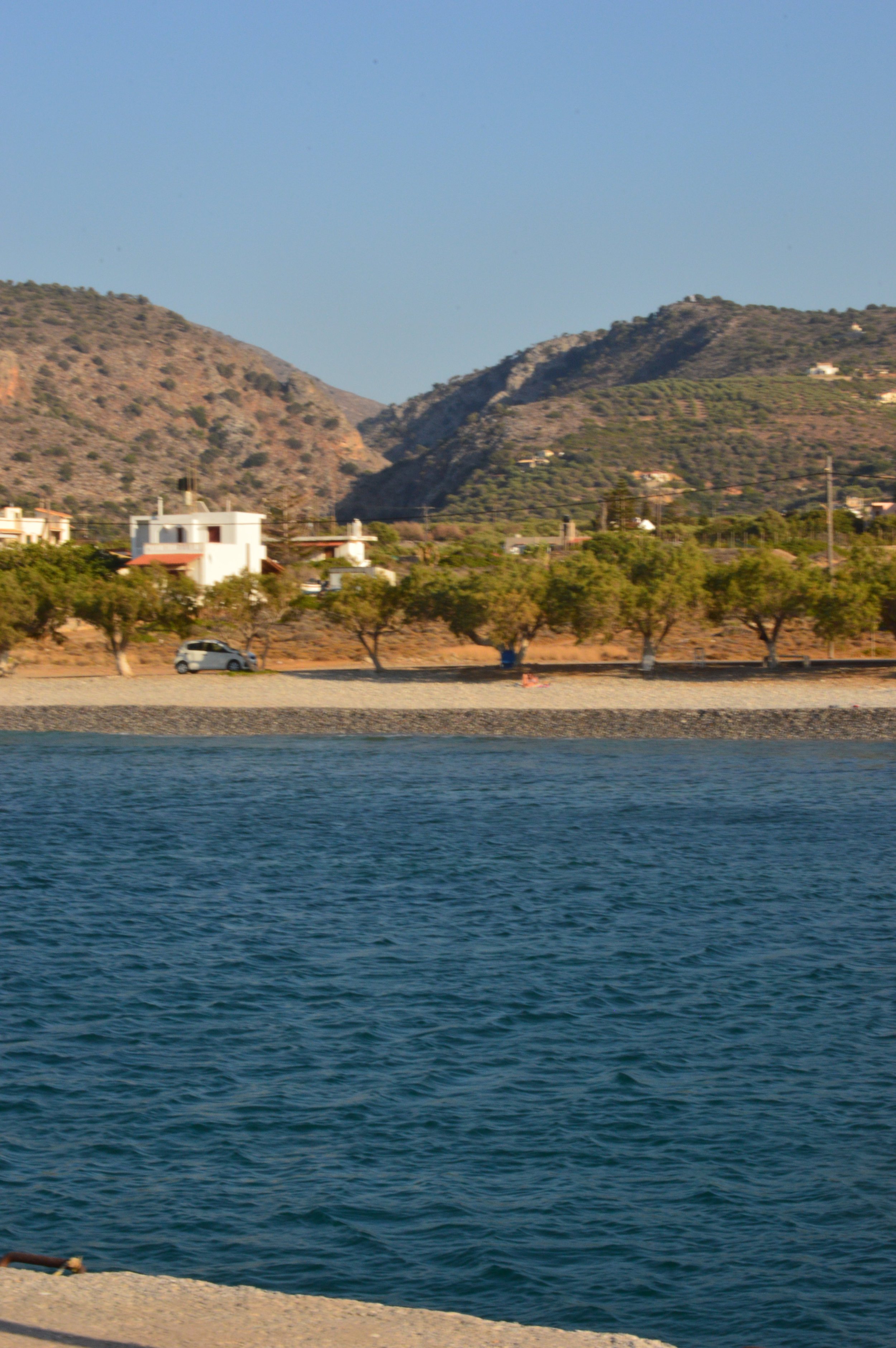 DSC_3441.JPG
