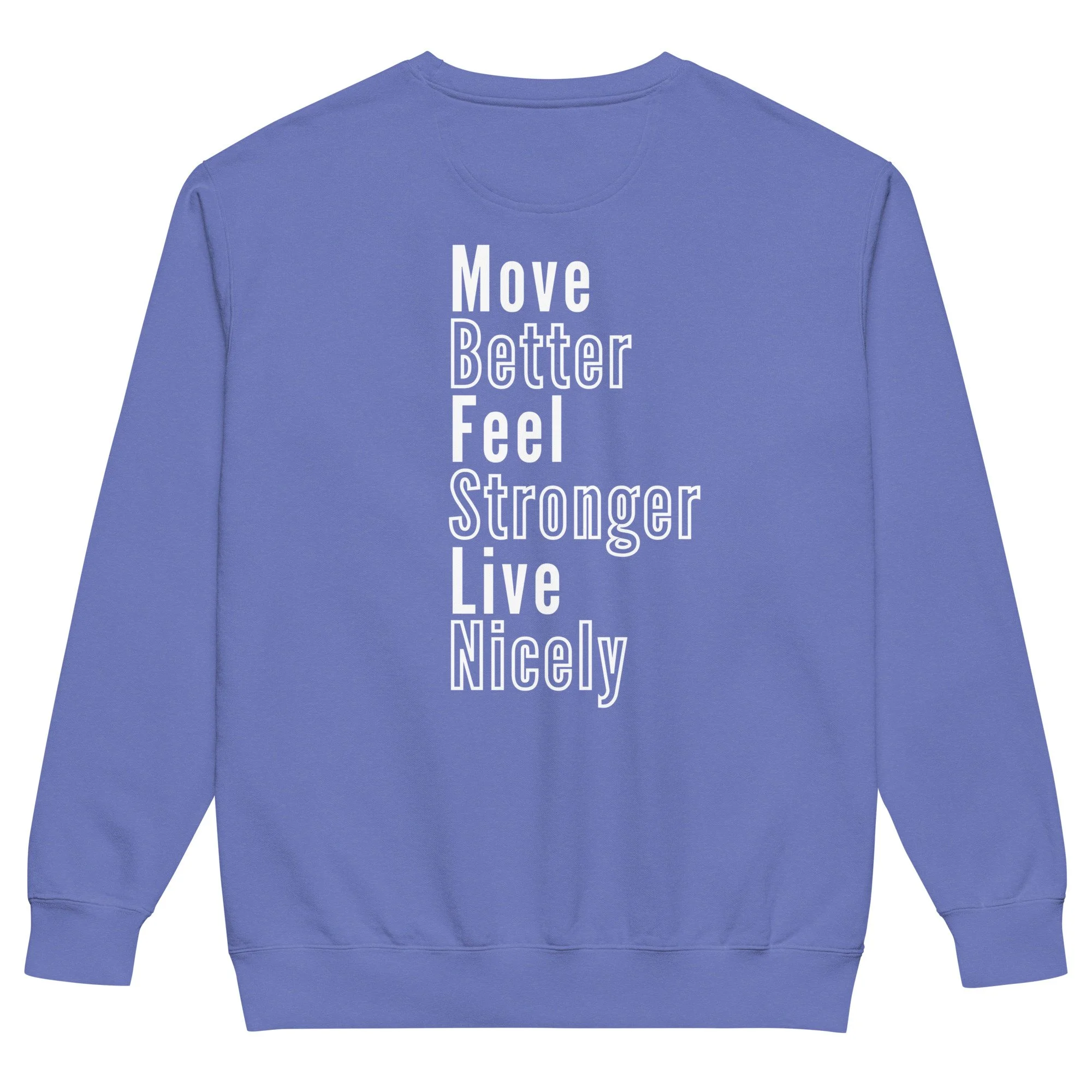 unisex-garment-dyed-sweatshirt-flo-blue-back-68d59995e95d2.jpg