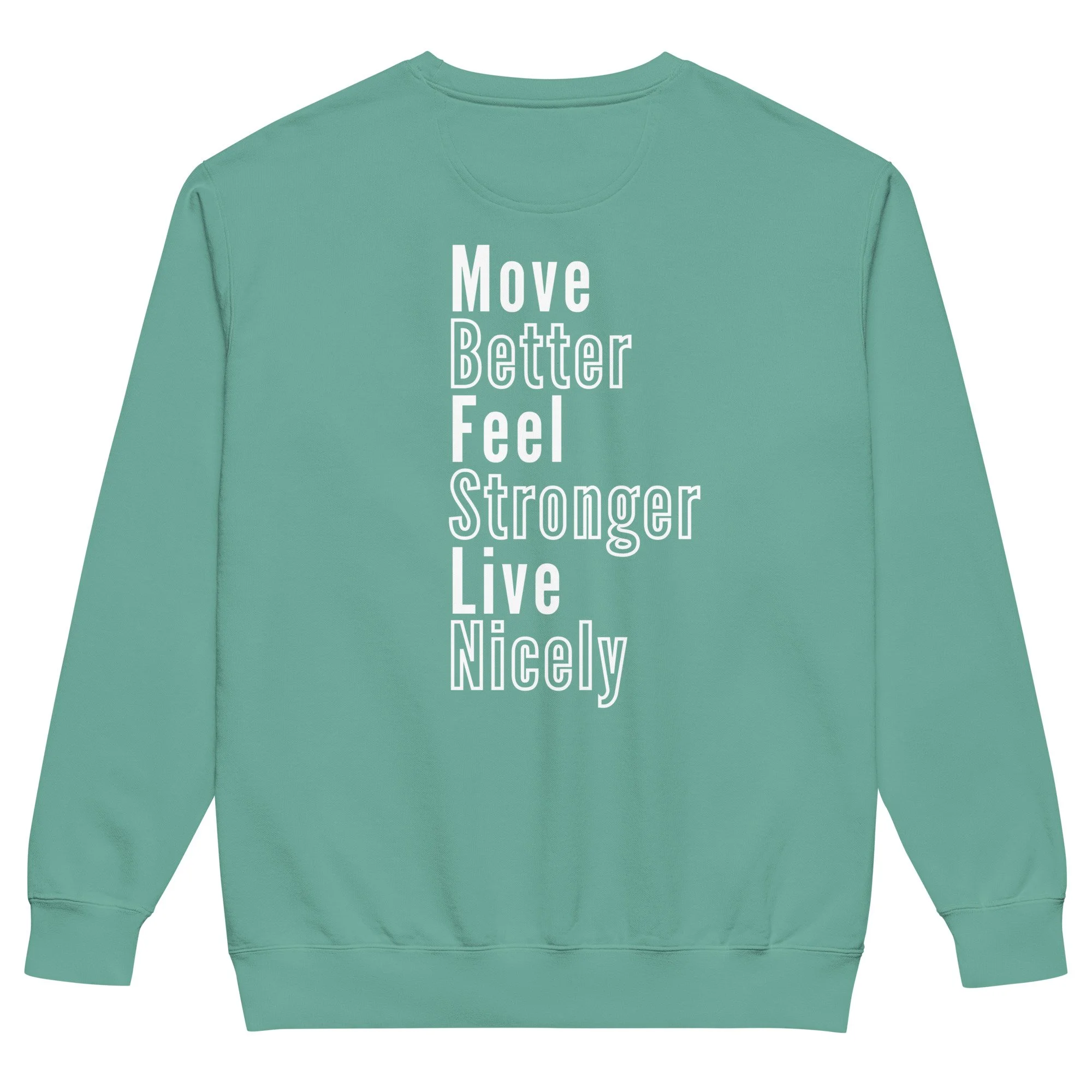 unisex-garment-dyed-sweatshirt-seafoam-back-68d5999601c58.jpg
