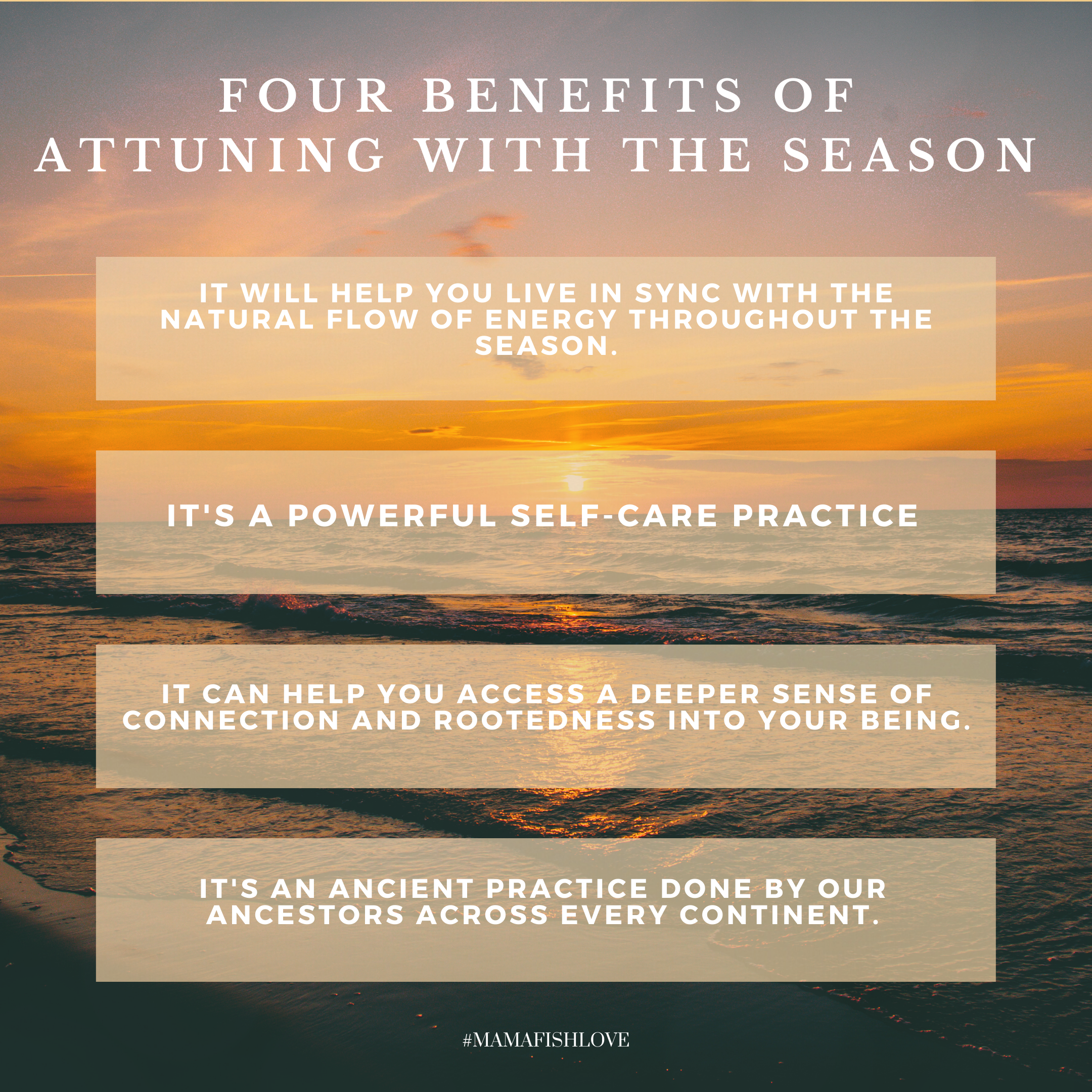 Autumn Equinox: Attuning with the Season with Shawna Fisher