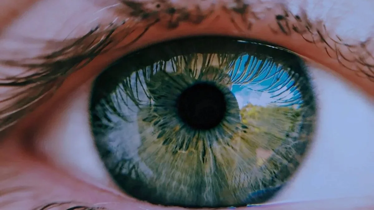 Diseño sin título (2).jpg