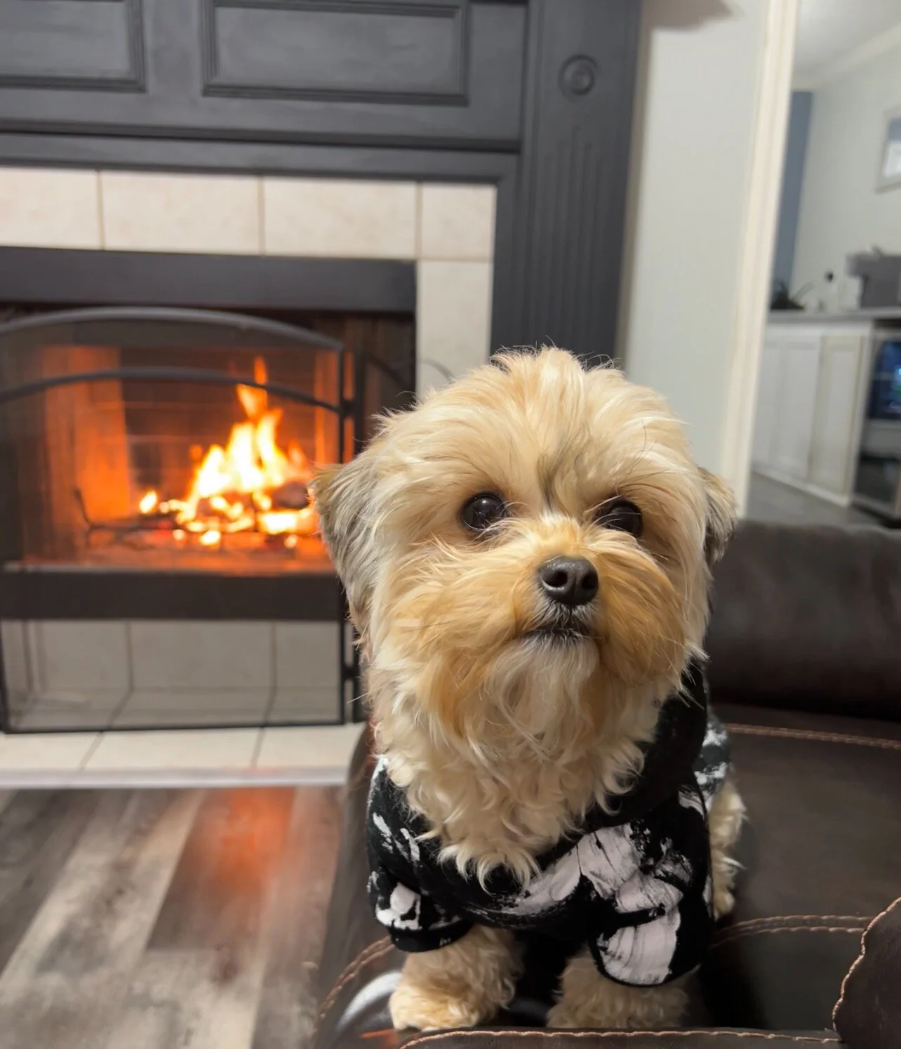 99DE7144-C826-4F38-8A2D-1262E78D13D1