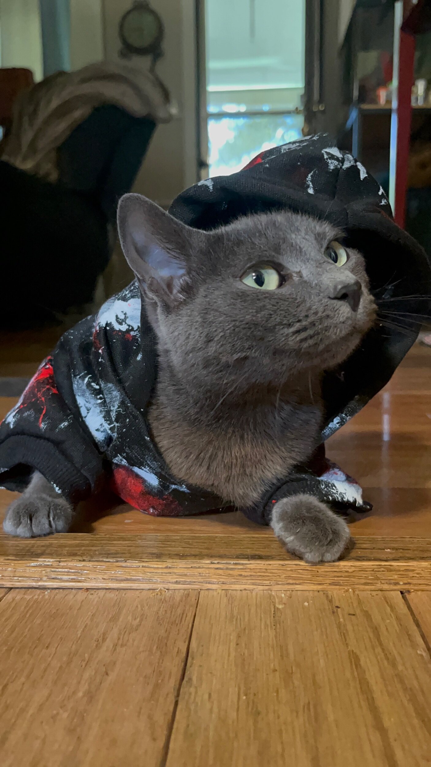 6146875D-3978-4CE6-A55B-CE12DB316B97