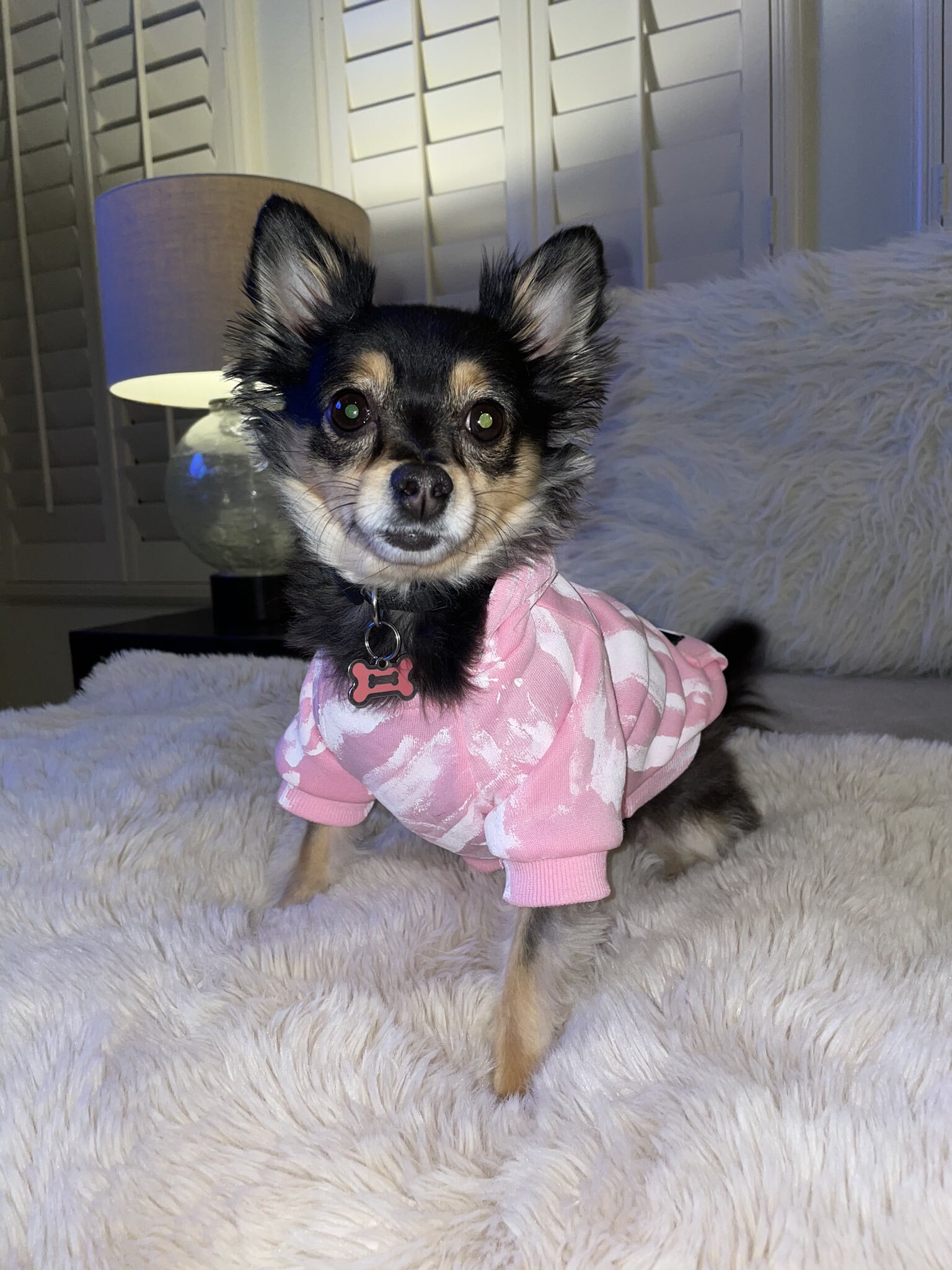 B100C171-920B-49D2-ABC9-AA473CFA0DB2