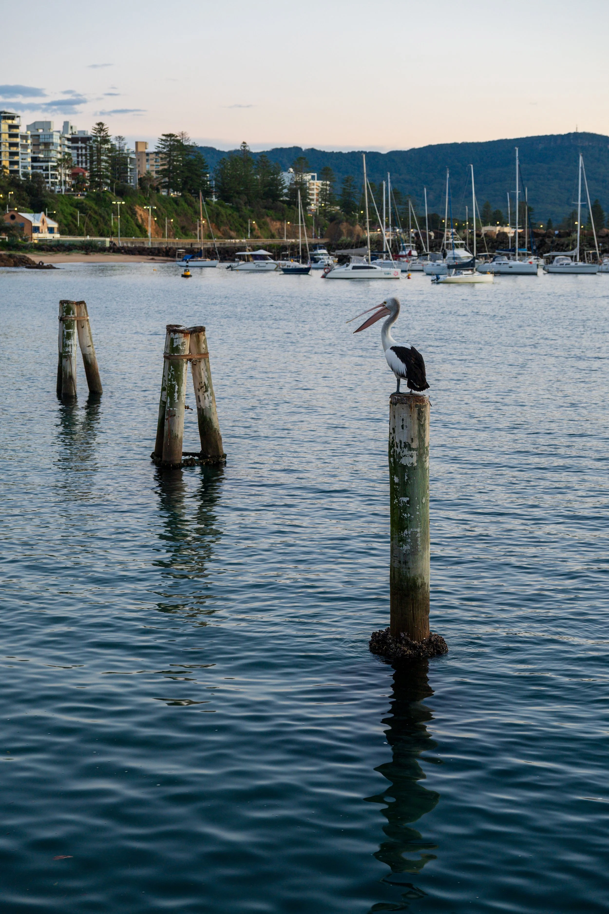 Harbour Walk 02-06-2026-3.jpg