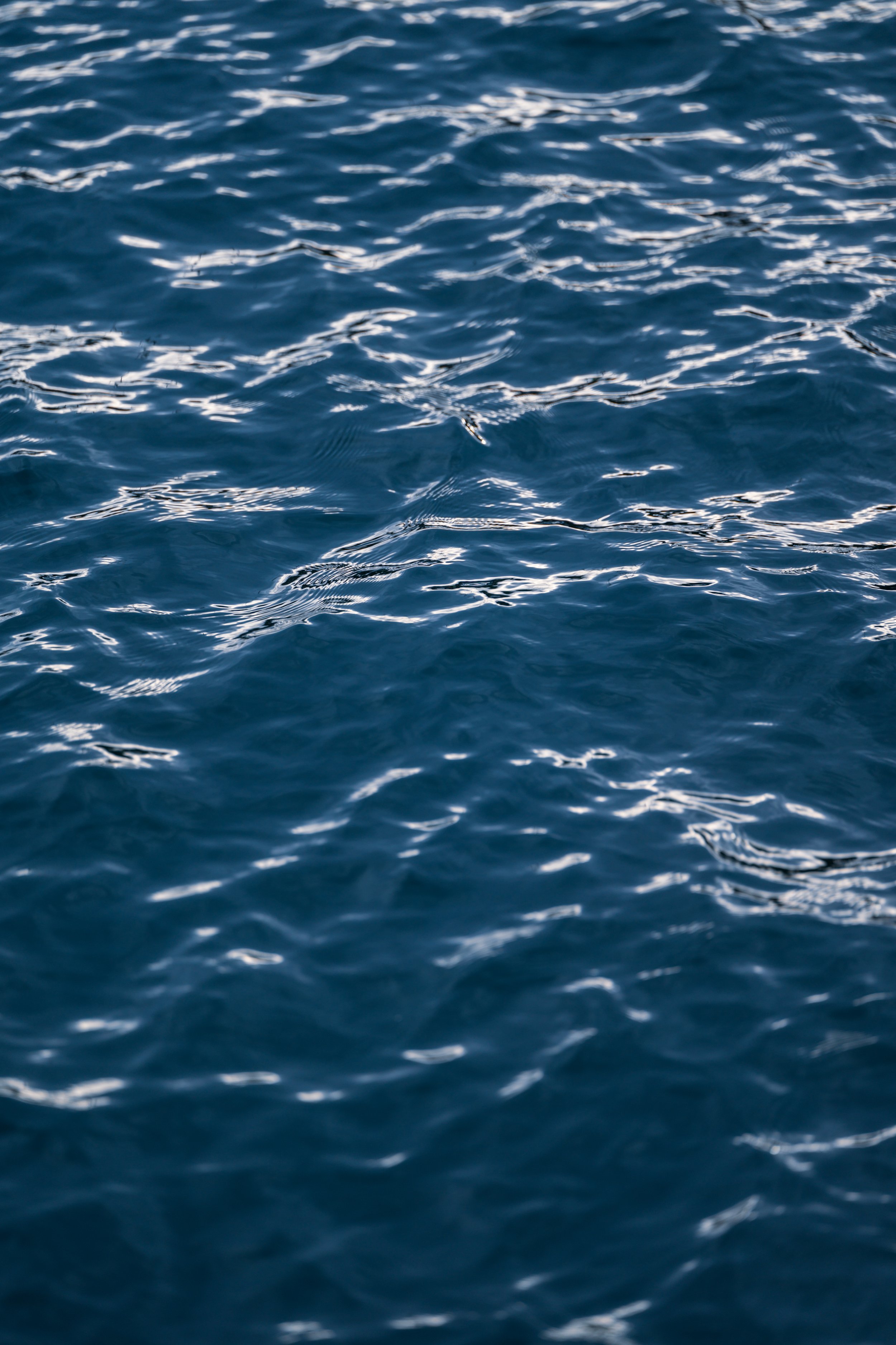 North Beach Stroll 02-03-2026-25.jpg