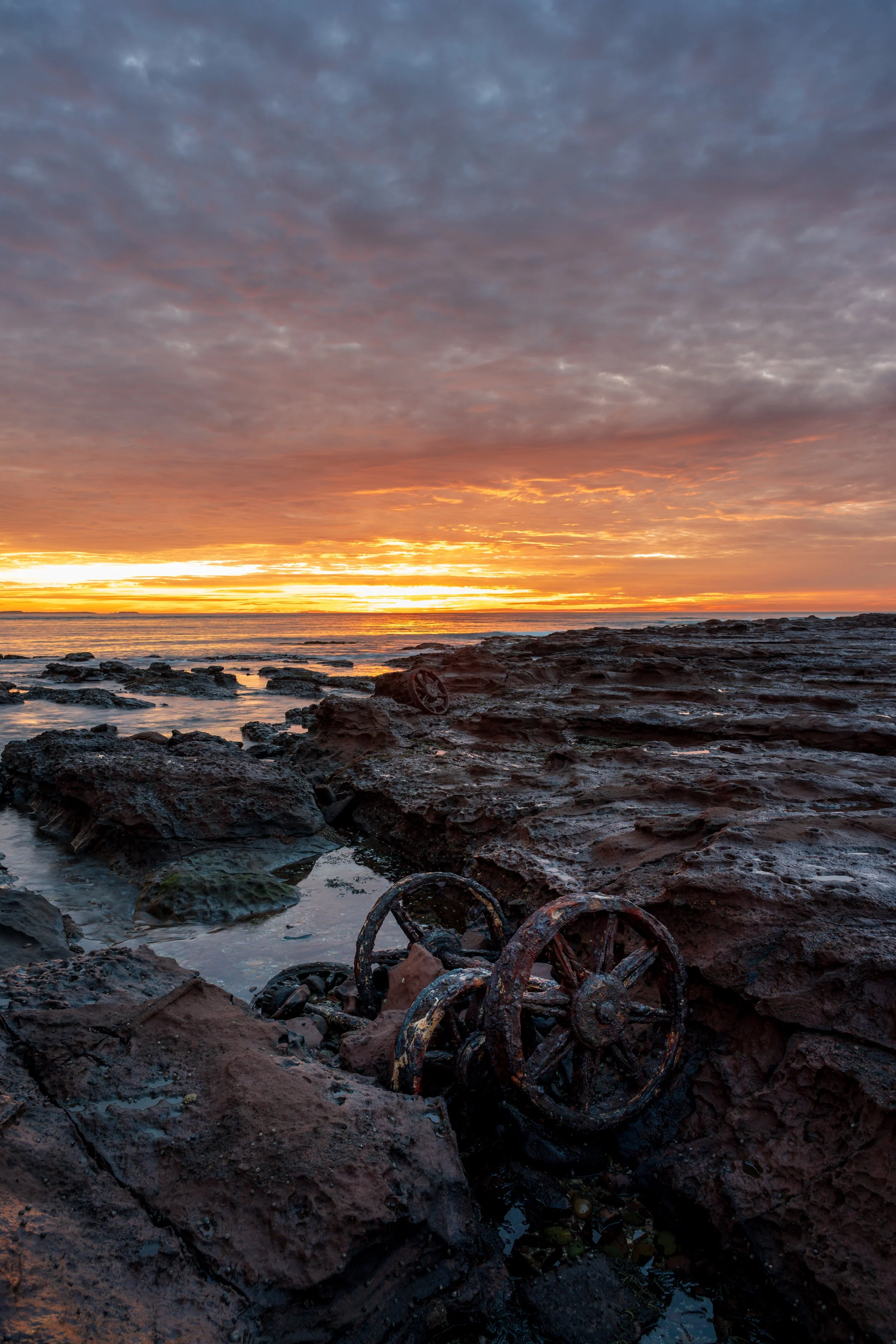 Incredible Windang Island 17-06-2026-15.jpg