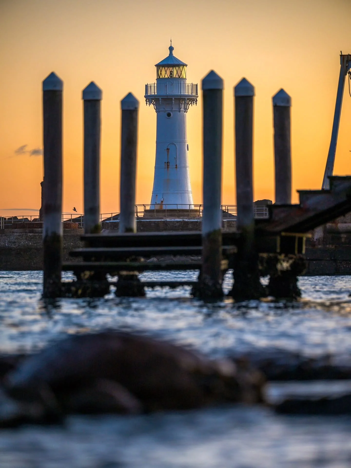 August forgotten files. Did more shoots than I had been doing, shared everything I liked from a couple and had these left over from two separate walks around North Beach, City Beach and the Harbour. My first newsletter went out this morning, if you s