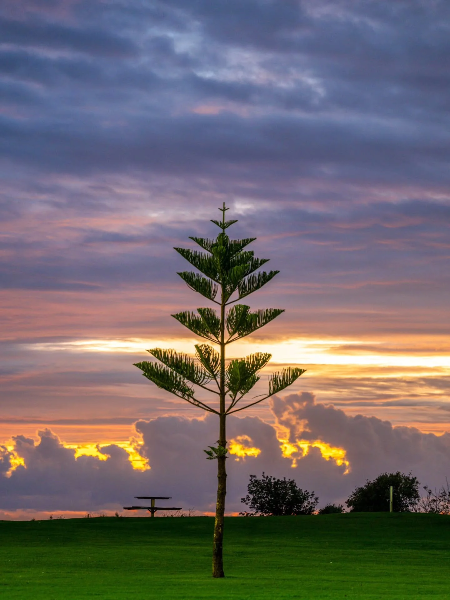 When I feel like I'm struggling creatively I grab my camera and throw a lens on and go for a walk. Last week, after a very slow start to the year photography wise, I did just that. One camera, one lens, in this case my 70-200, and see what I can find