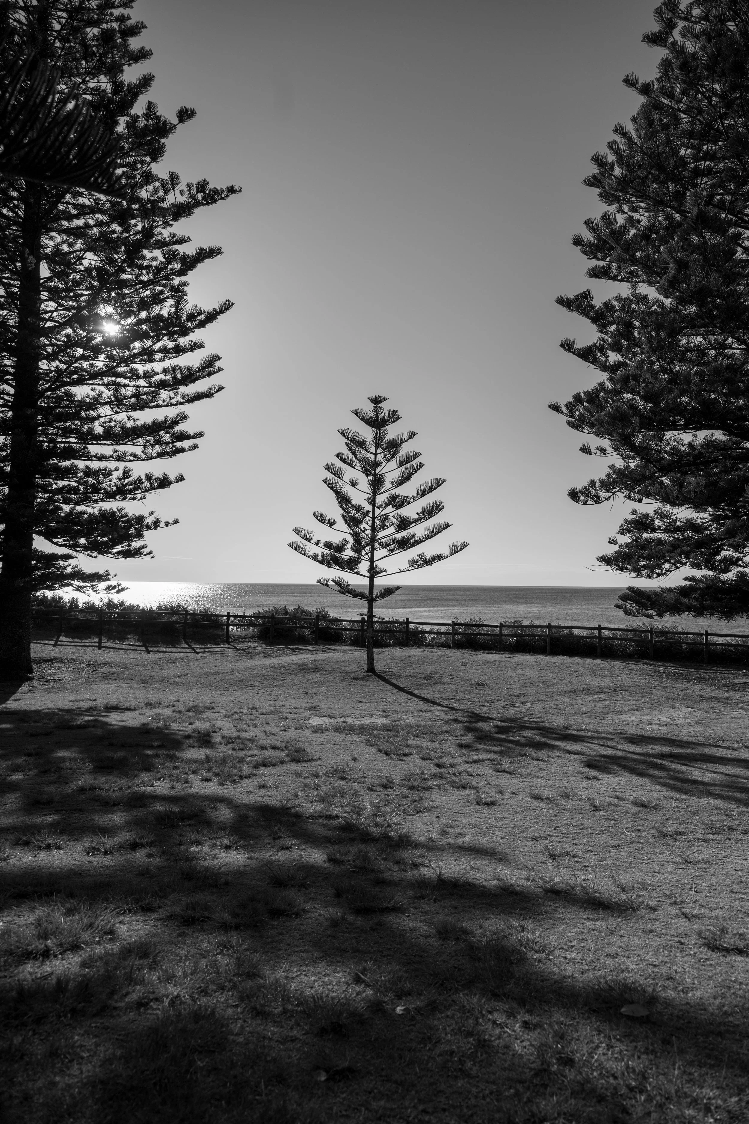 Harbour Walk 21-09-26-44.jpg