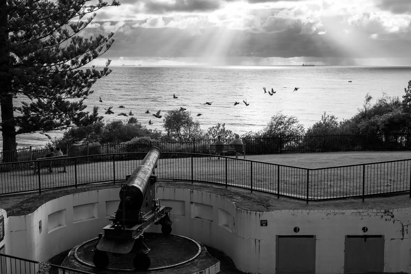 Few captures from another walk around the Harbour you know where to go to see the rest. March newsletter should be going out by the end of the week. Sign up for that on my website www.tesscali-images.com or linked in my bio