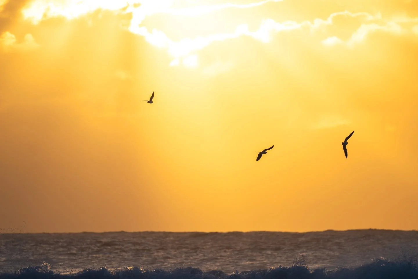 We do love a big swell day/weekend even though I'm leading this post with an image that has no swell involved. I went to Coalcliff chasing the swell and high tide, as well as a few other photographers, with about 5 or 6 of us there at some point. One