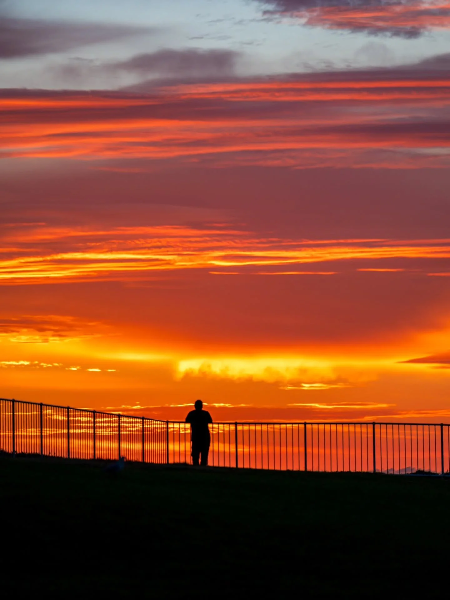 Some images I took from a sunrise walk with my niece around Flagstaff Hill last week. To see what else I made from that morning sign up for my newsletter at www.tesscali-images.com