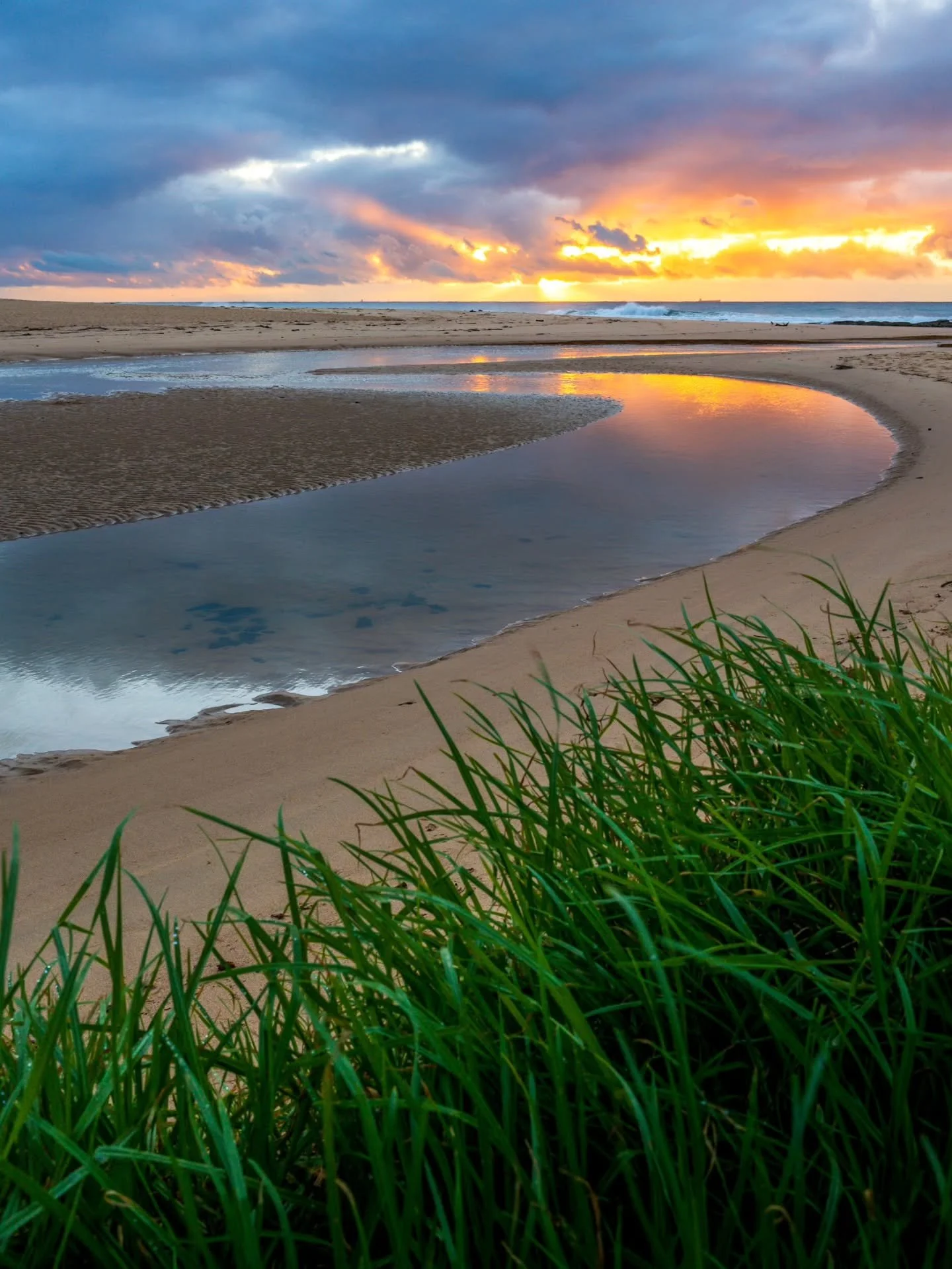 Couple of images from the Lagoon at North Wollongong during the week. Newest email went out at 9am this morning, if you've signed up but haven't seen it yet check your junk/spam folders. If you haven't signed up but want to see what it's about head t