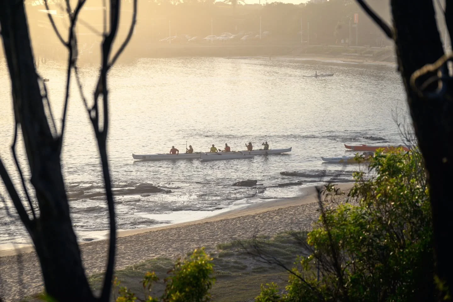 Throwback to a misty summer morning when I spotted one of the dragon boats training in the harbour.

Follow the link below to see more from that shoot and sign up to my weekly updates

https://www.tesscali-images.com/northbeach290126