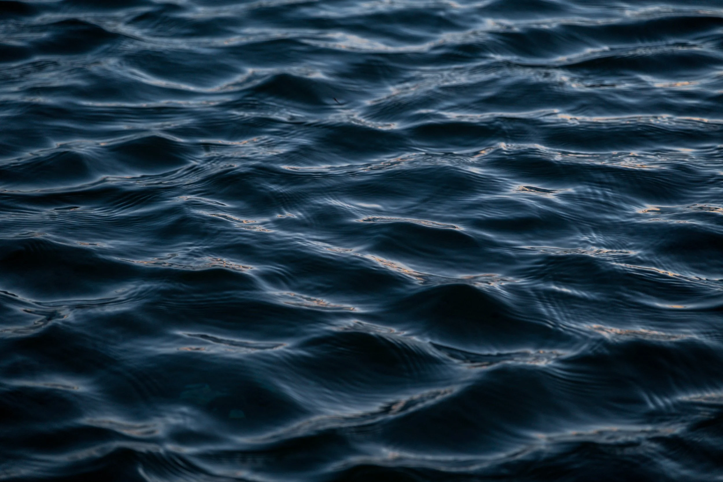 Wombarra Waters 03-09-26-3.jpg