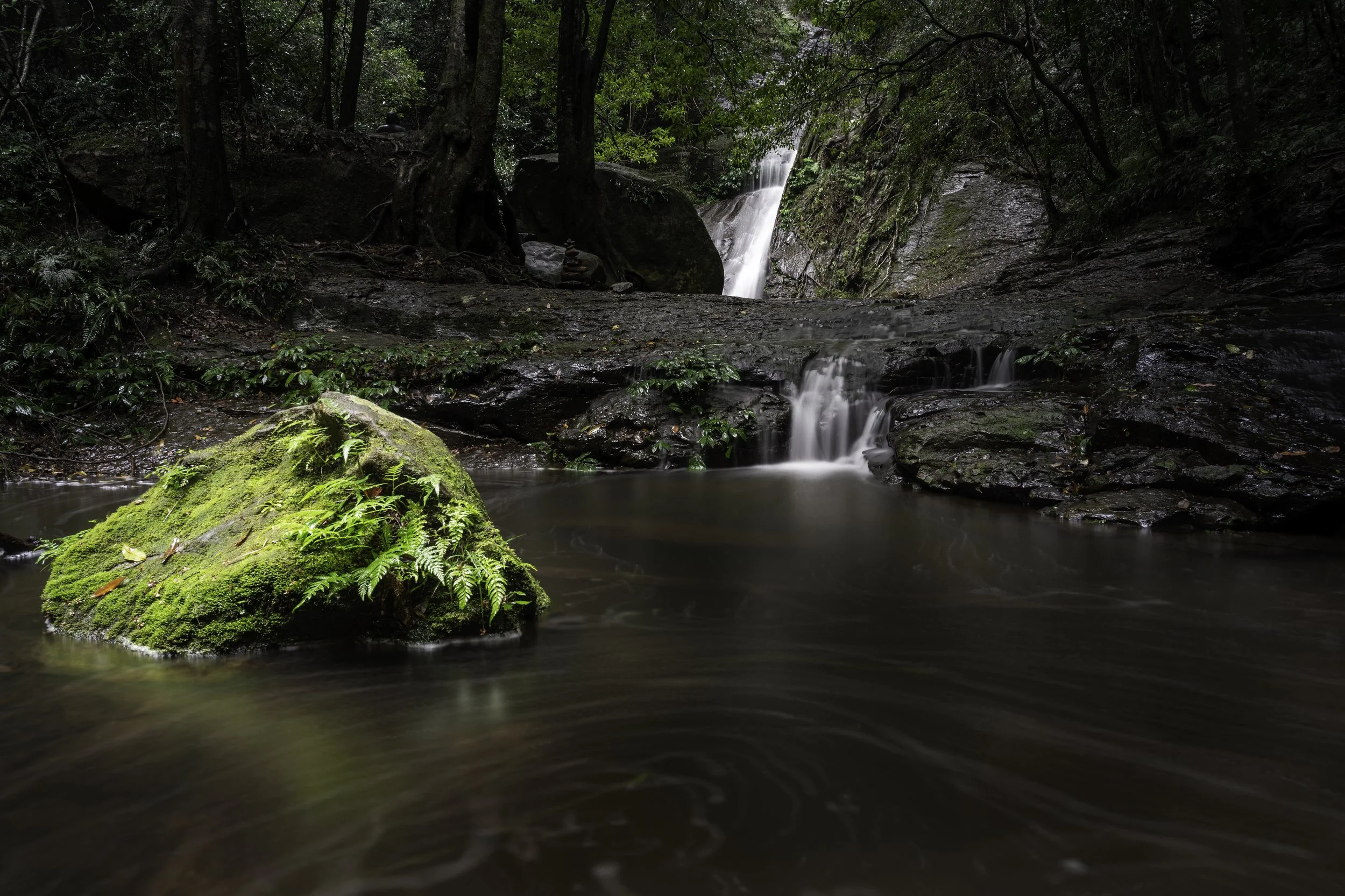 GreenRockFocusStackWallpaper.jpg