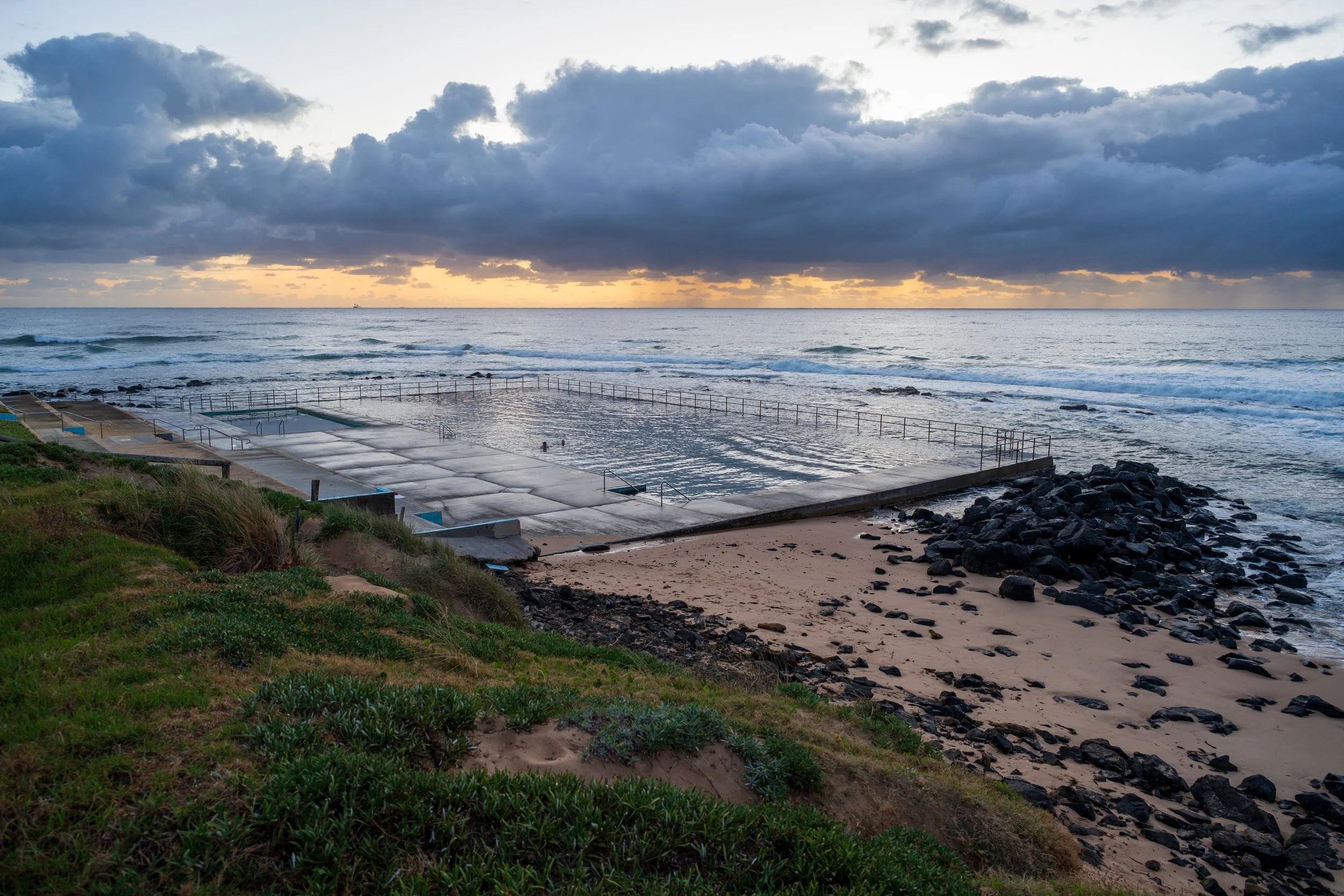 Peas in a Pool 27-12-2025.jpg