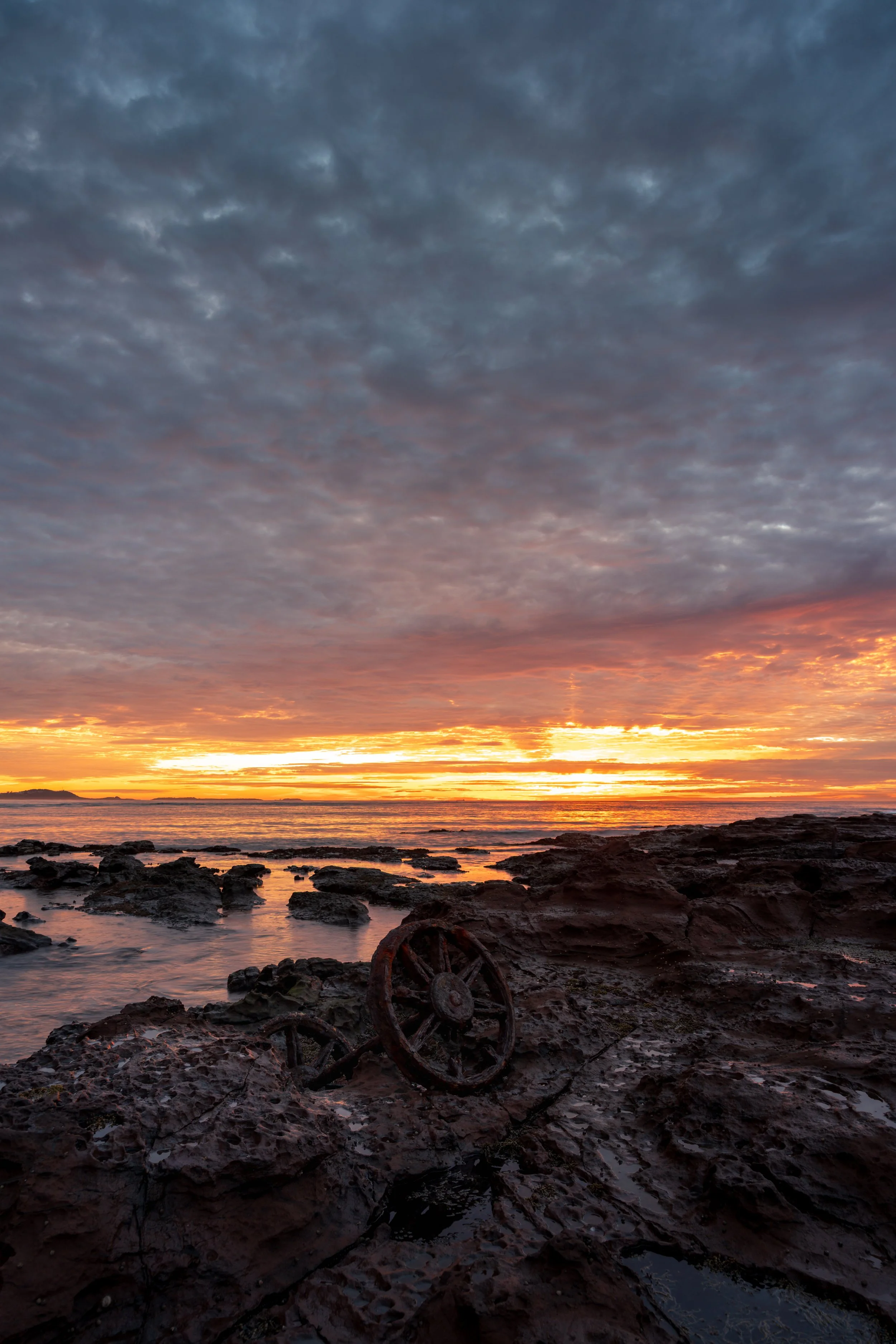 Incredible Windang Island 17-06-2026-14.jpg