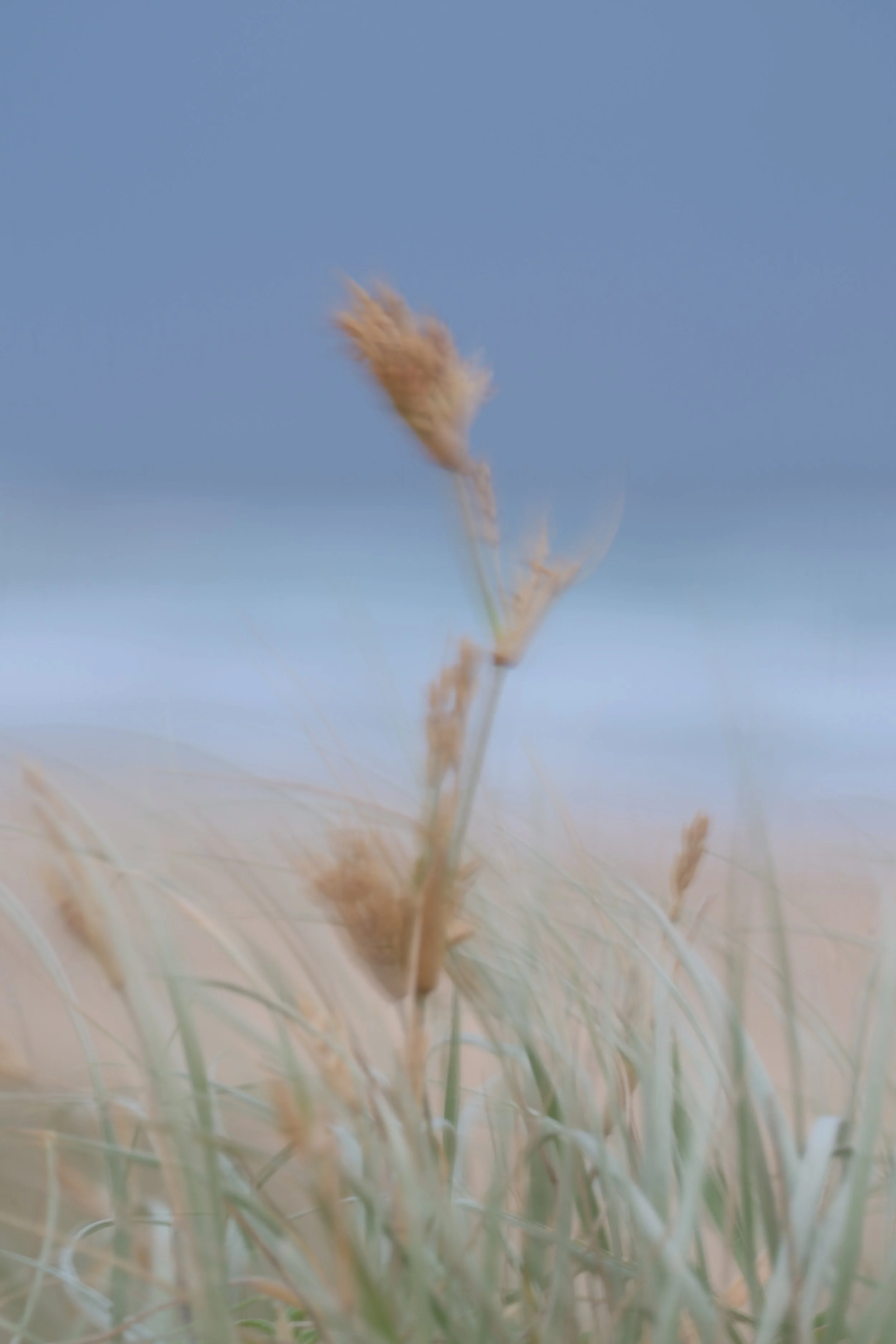 Cold Moody Corrimal Beach 26-10-26-12.jpg