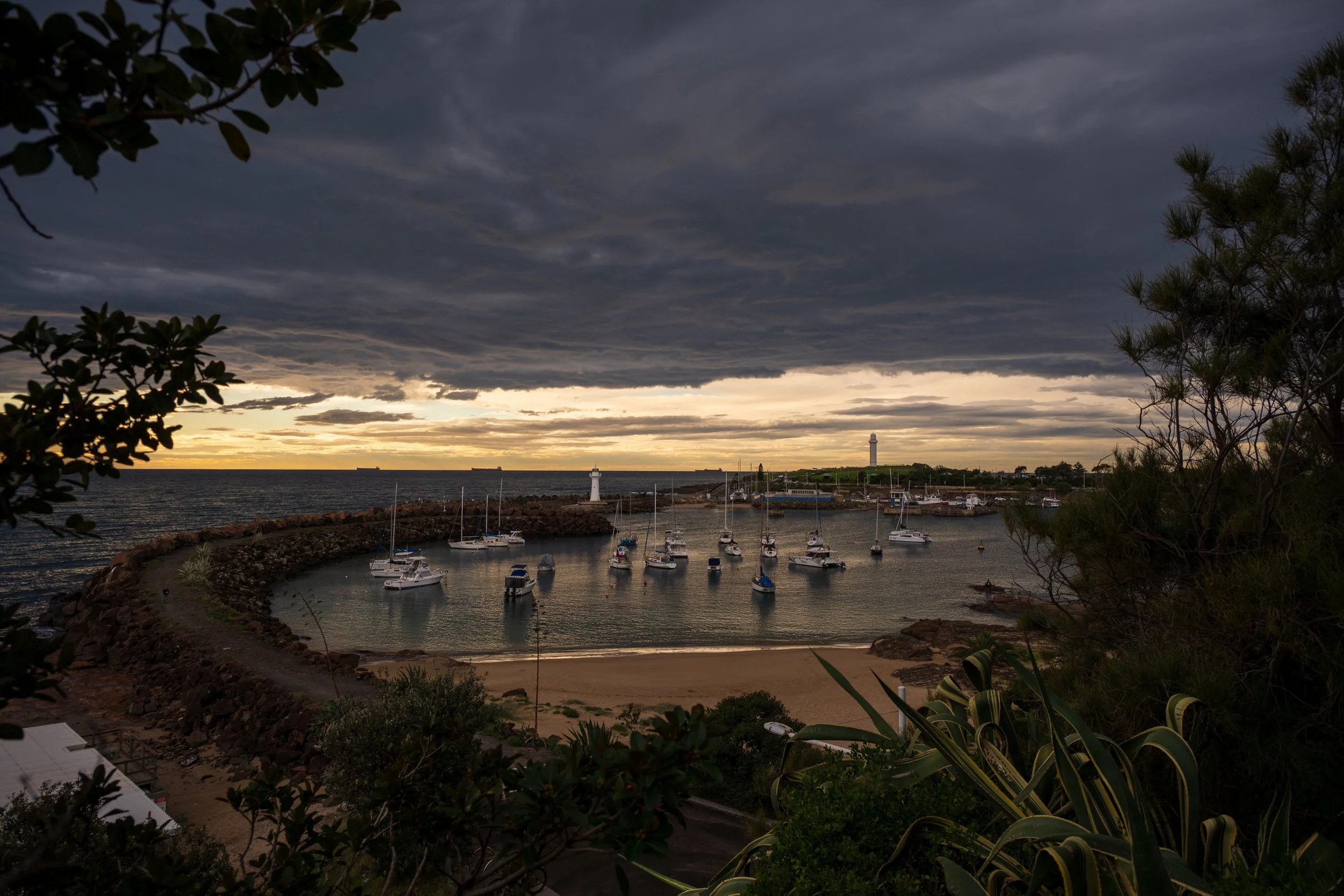 Harbour Walk 02-06-2026-31.jpg