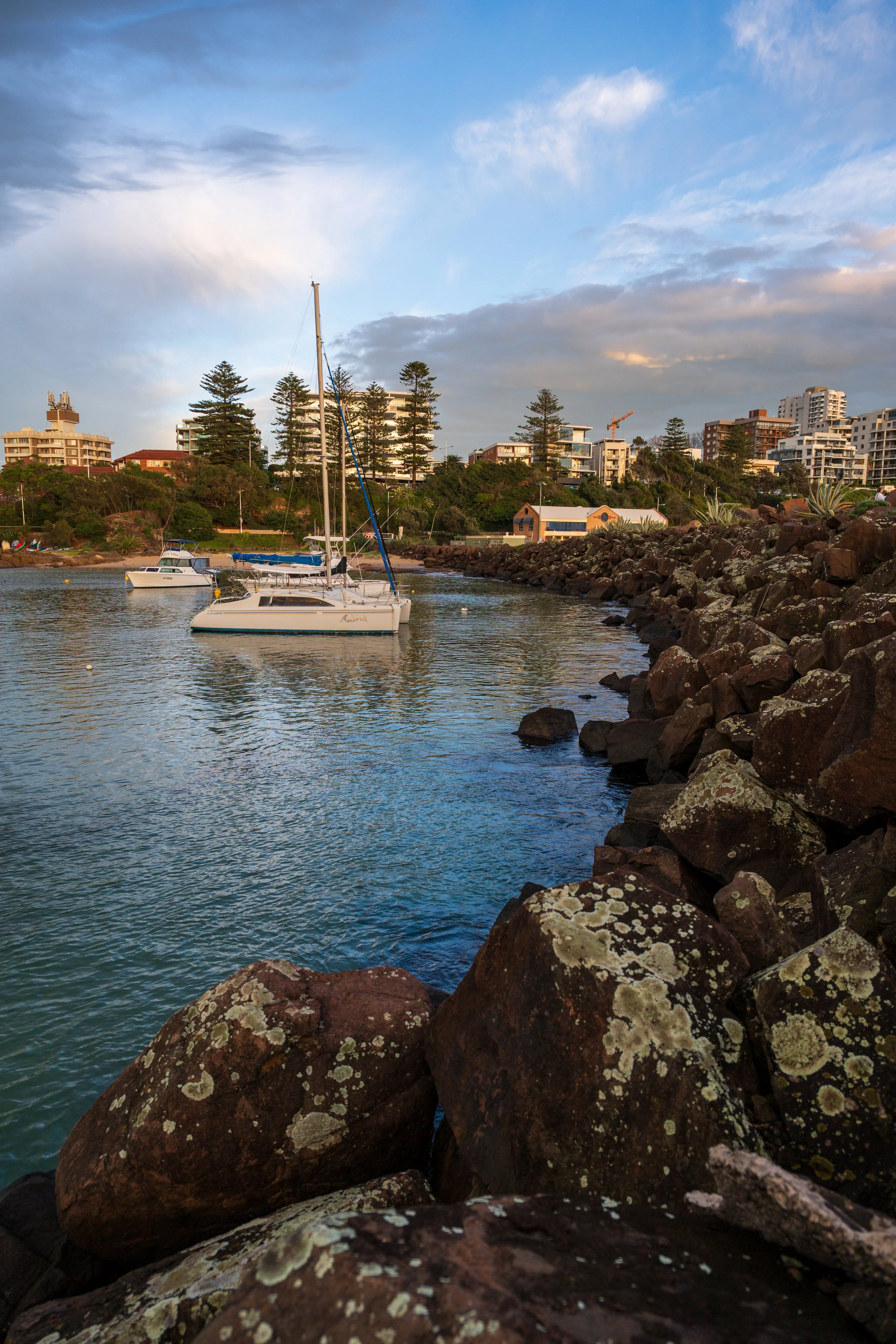 Harbour Walk 02-06-2026-11.jpg