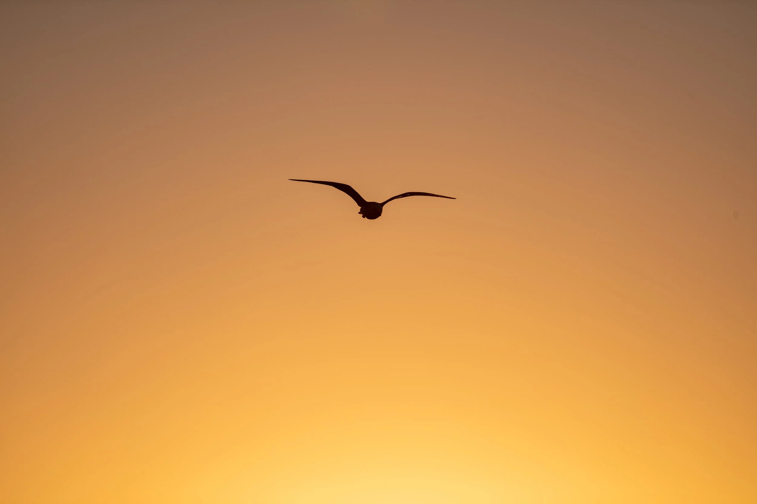 Corrimal Beach 20-05-2026-22.jpg