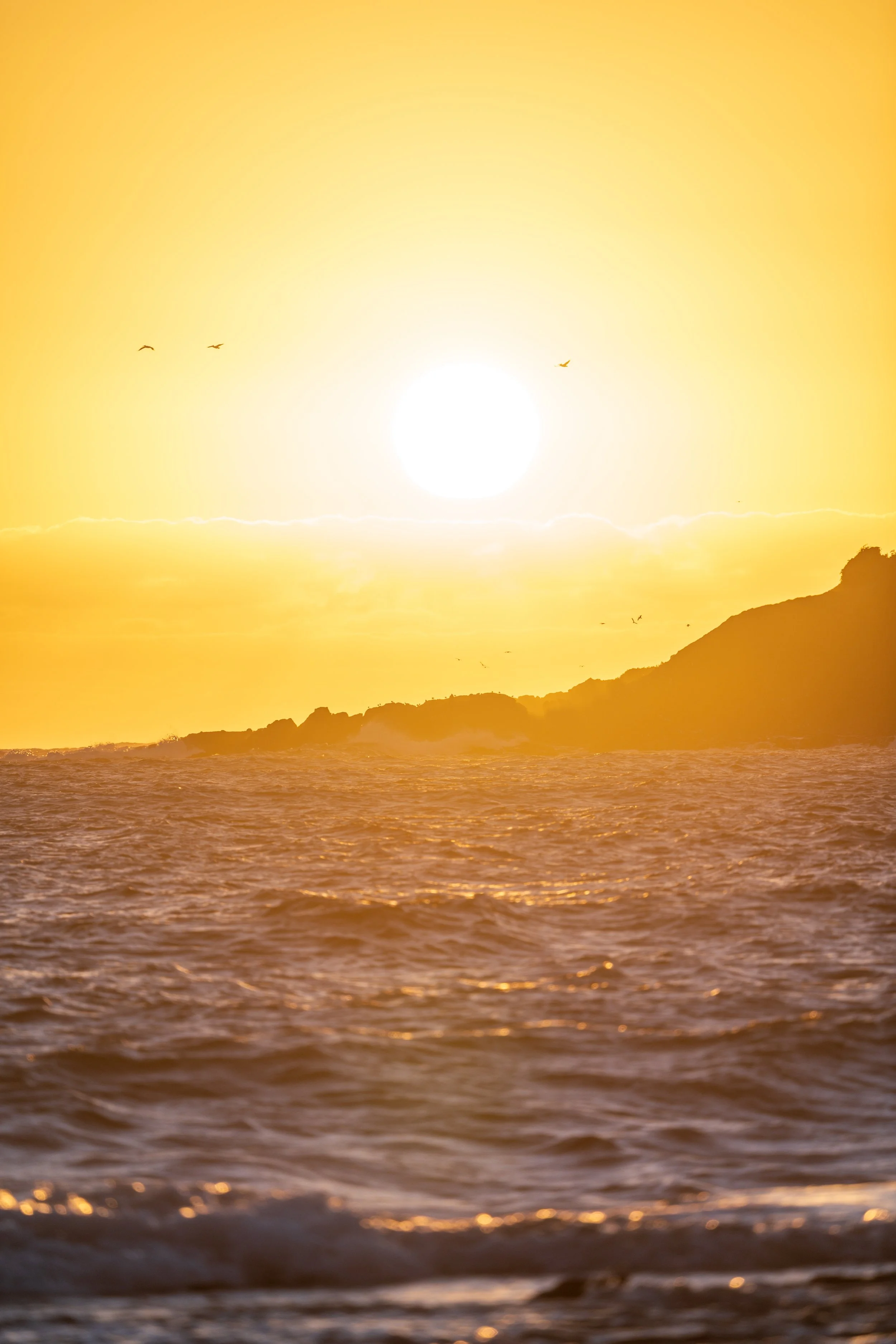 Rising in the East 28-01-2025.jpg