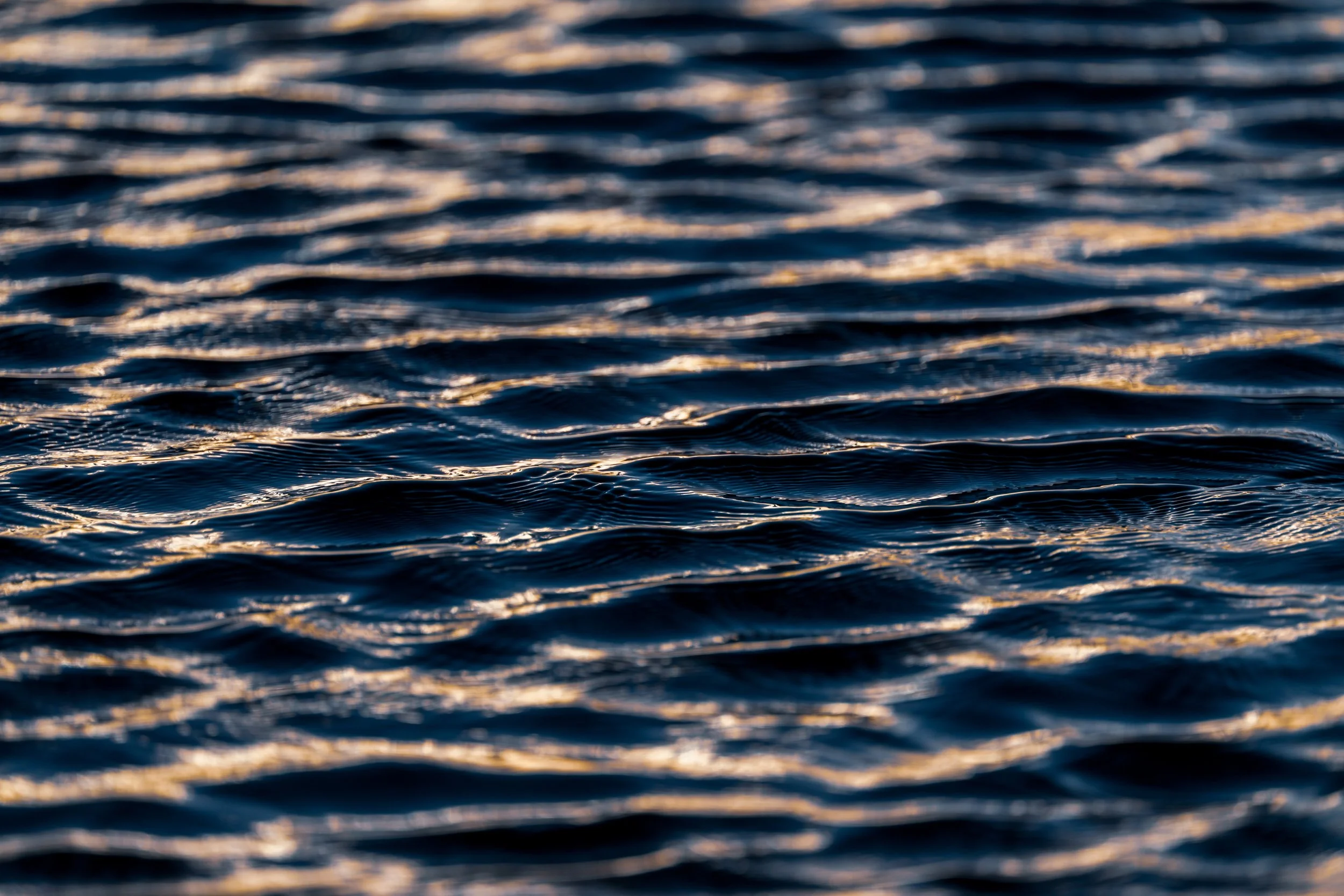Wombarra Waters 03-09-26-30.jpg